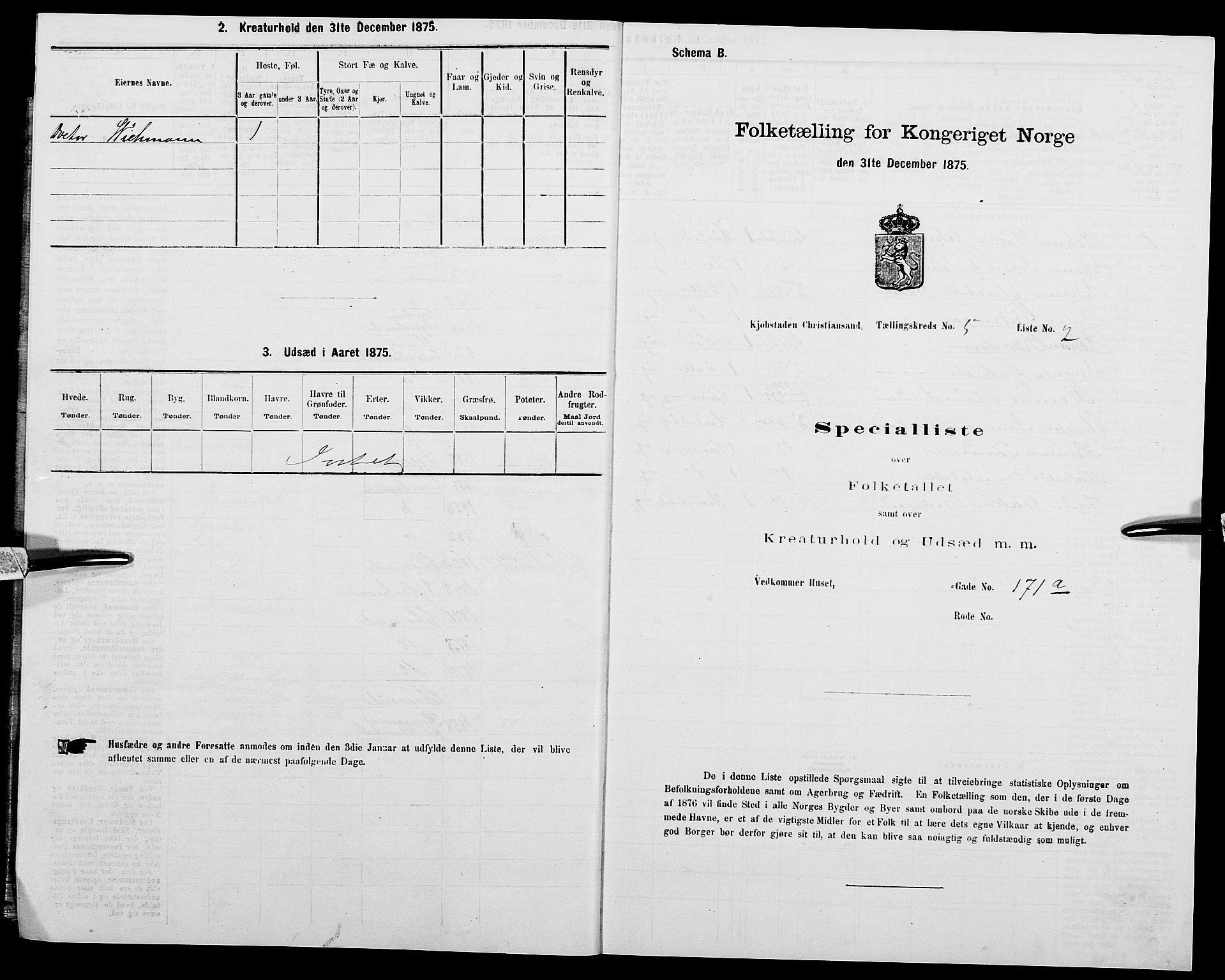 SAK, 1875 census for 1001P Kristiansand, 1875, p. 596