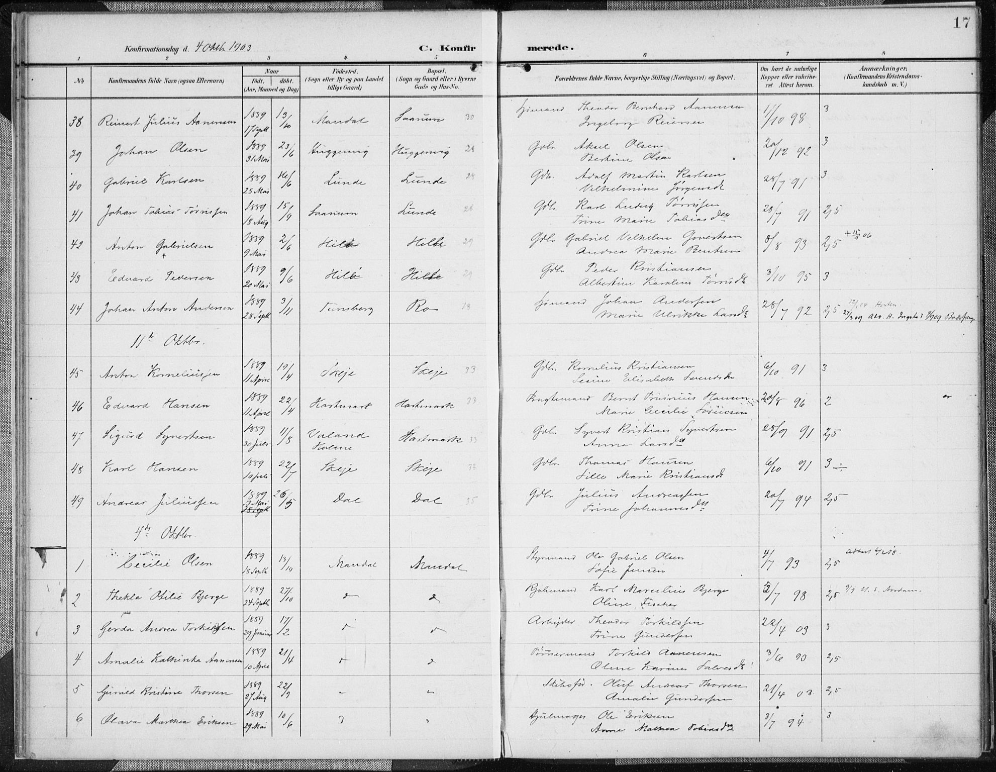 Mandal sokneprestkontor, SAK/1111-0030/F/Fa/Faa/L0019: Parish register (official) no. A 19, 1902-1912, p. 17
