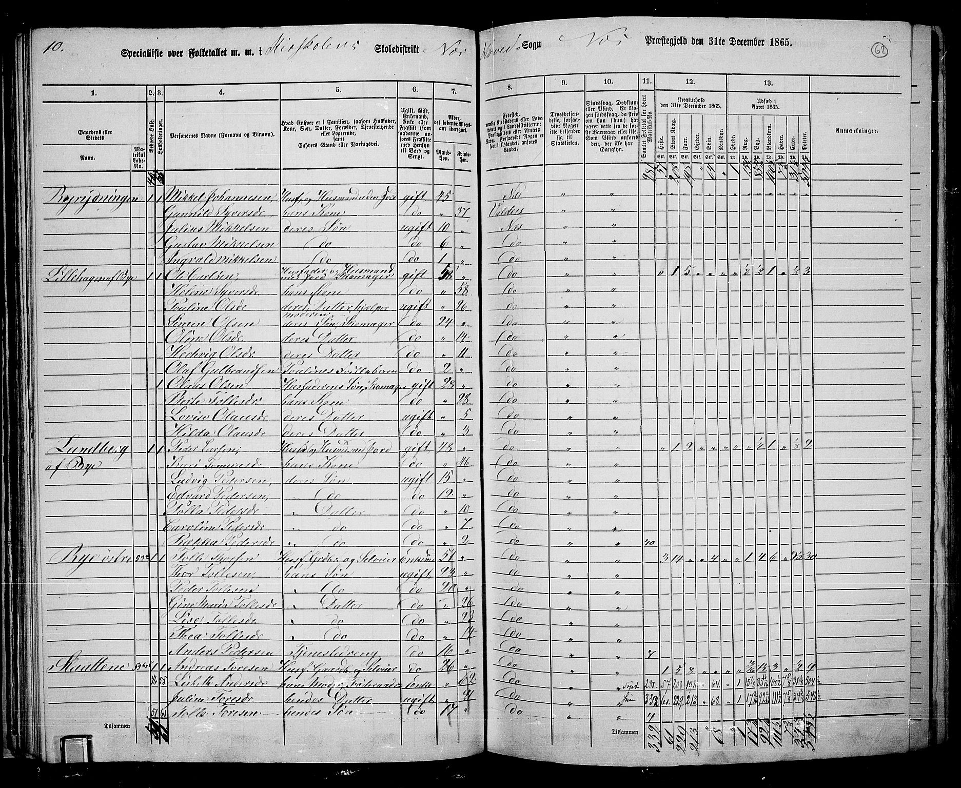 RA, 1865 census for Nes, 1865, p. 55