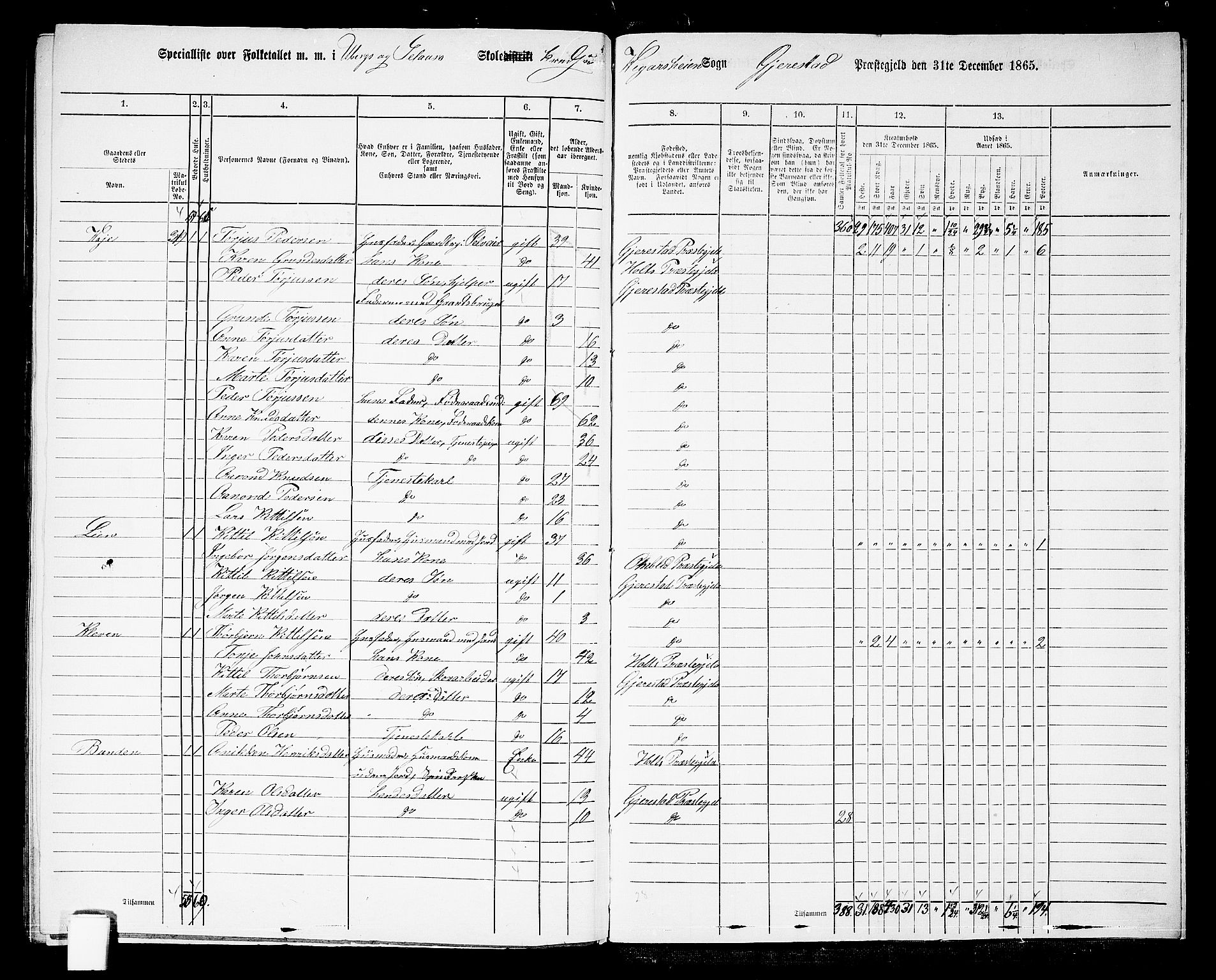 RA, 1865 census for Gjerstad, 1865, p. 202