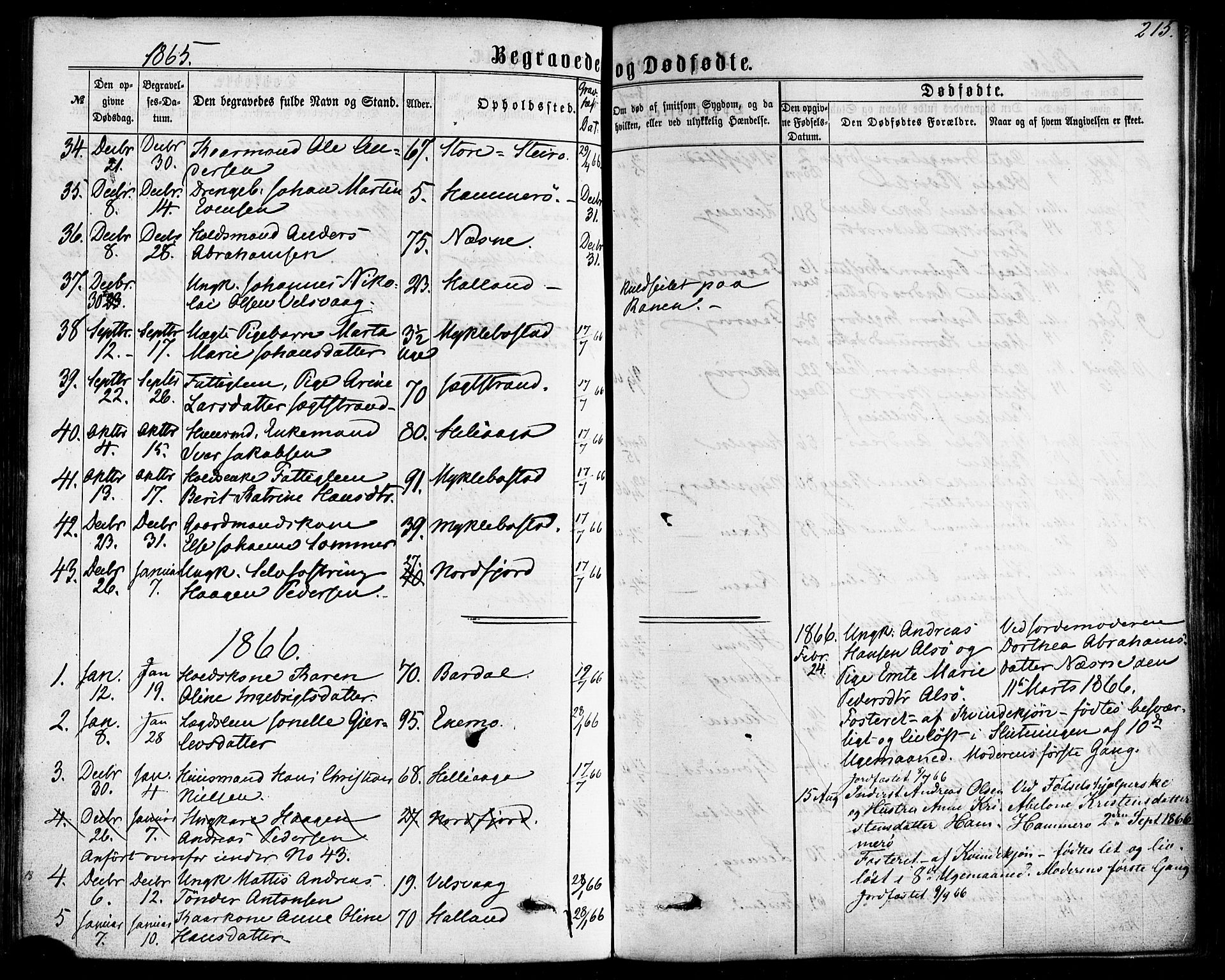 Ministerialprotokoller, klokkerbøker og fødselsregistre - Nordland, SAT/A-1459/838/L0551: Parish register (official) no. 838A09, 1864-1880, p. 215
