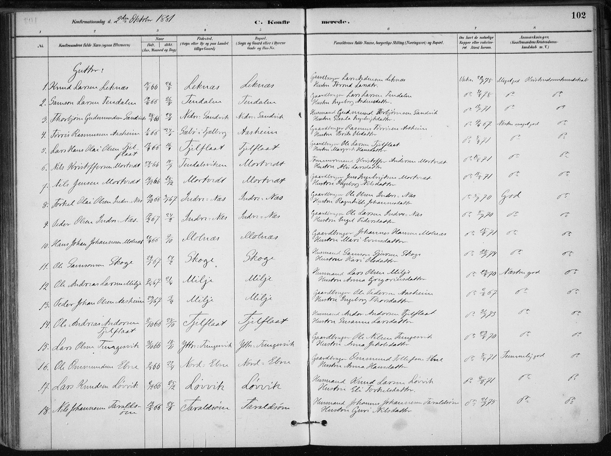 Skånevik sokneprestembete, SAB/A-77801/H/Haa: Parish register (official) no. B 1, 1879-1914, p. 102