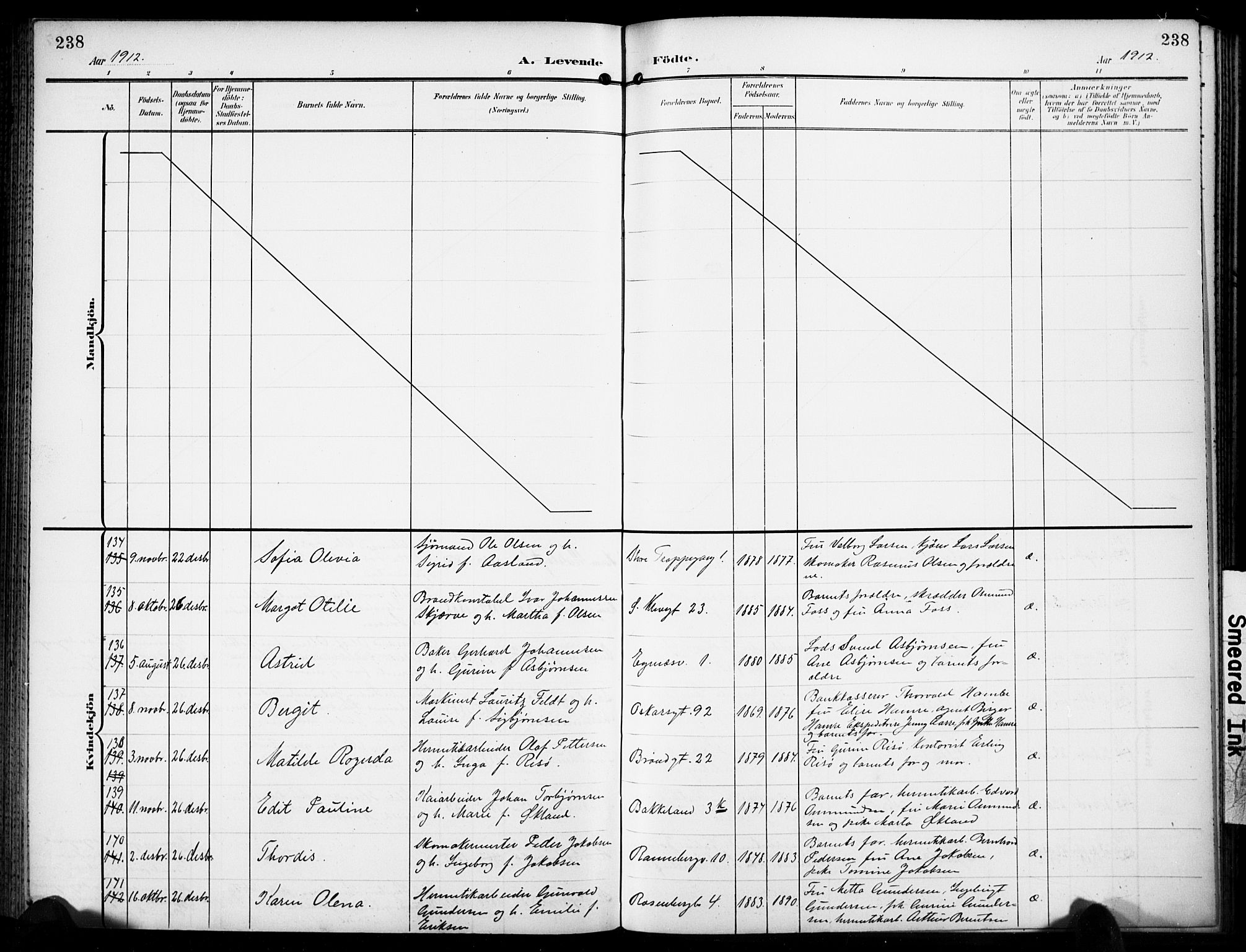 Domkirken sokneprestkontor, AV/SAST-A-101812/001/30/30BB/L0018: Parish register (copy) no. B 18, 1903-1915, p. 238