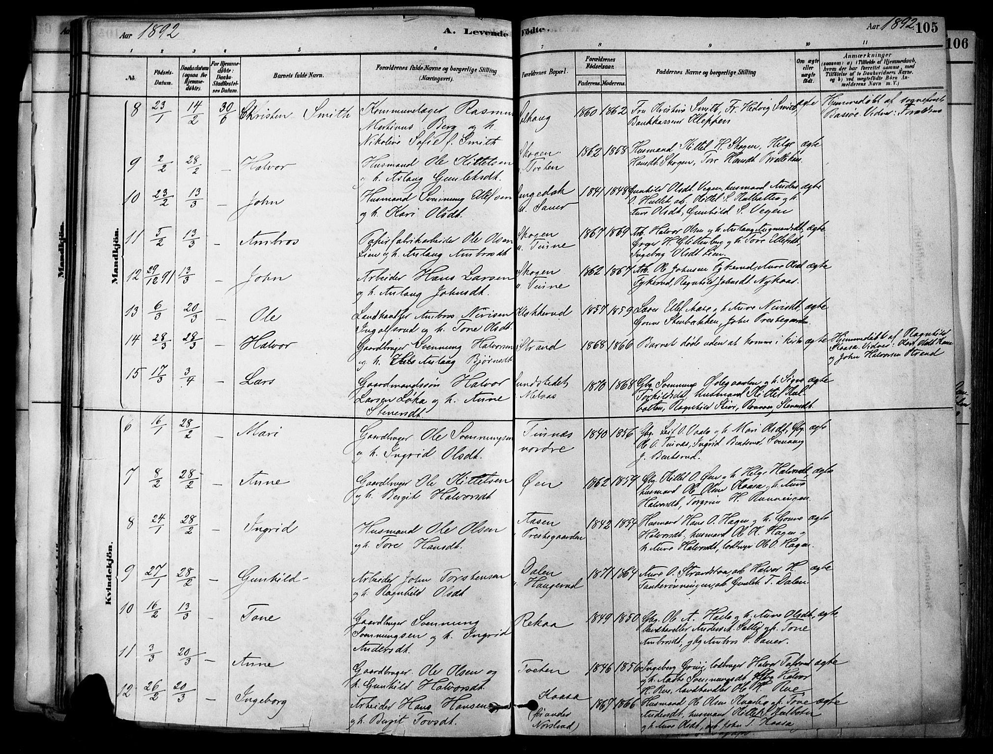 Heddal kirkebøker, SAKO/A-268/F/Fa/L0008: Parish register (official) no. I 8, 1878-1903, p. 105