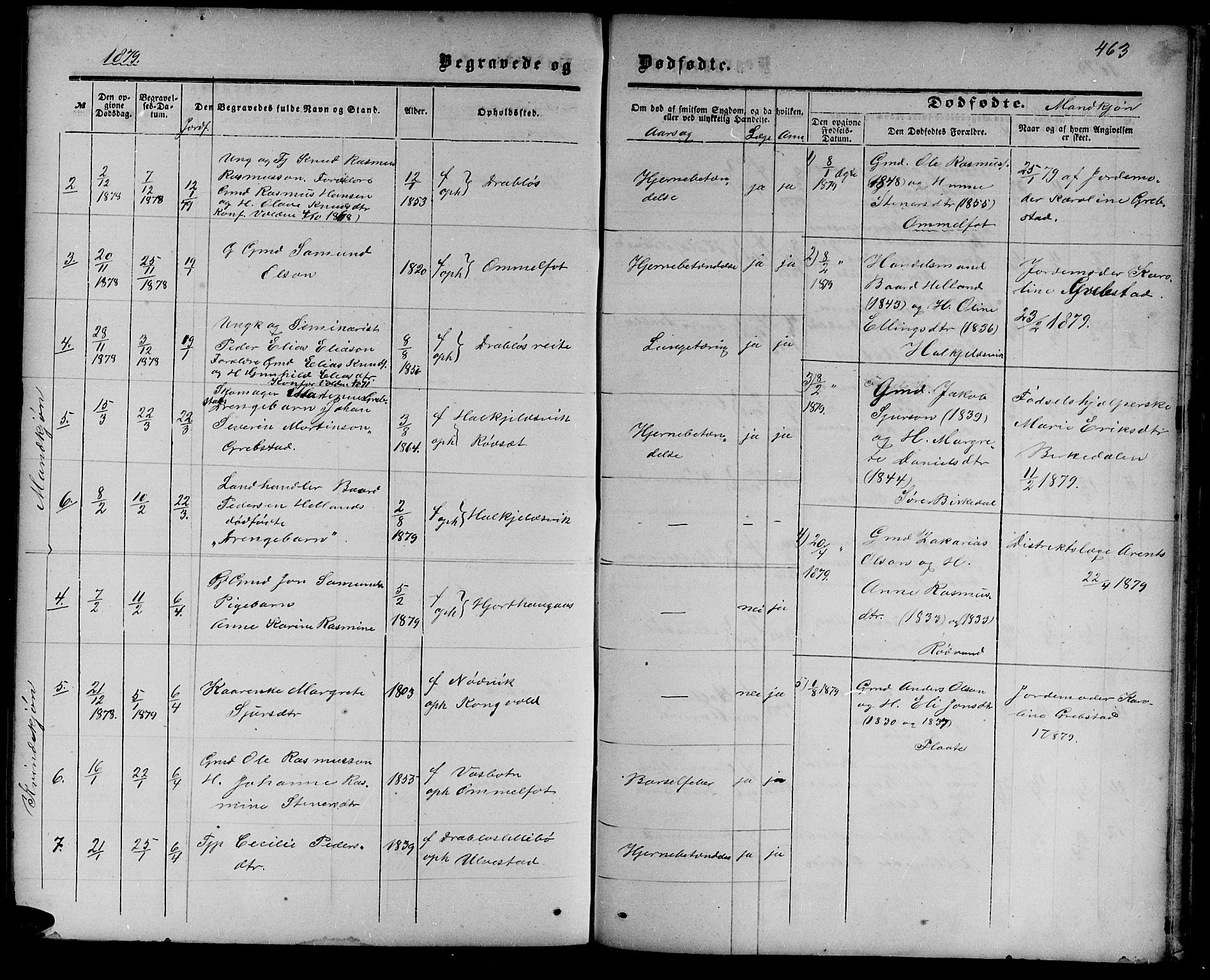 Ministerialprotokoller, klokkerbøker og fødselsregistre - Møre og Romsdal, AV/SAT-A-1454/511/L0157: Parish register (copy) no. 511C03, 1864-1884, p. 463