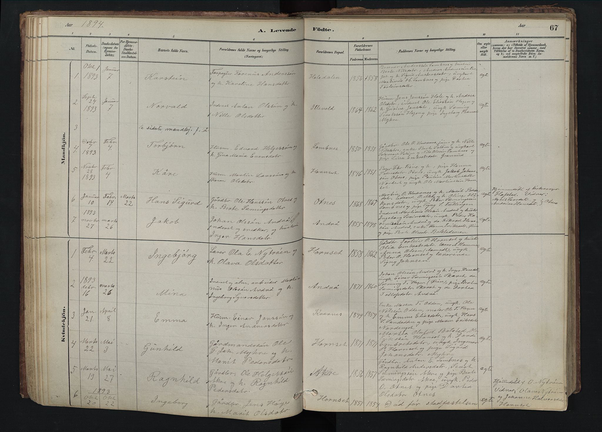 Rendalen prestekontor, SAH/PREST-054/H/Ha/Hab/L0009: Parish register (copy) no. 9, 1879-1902, p. 67