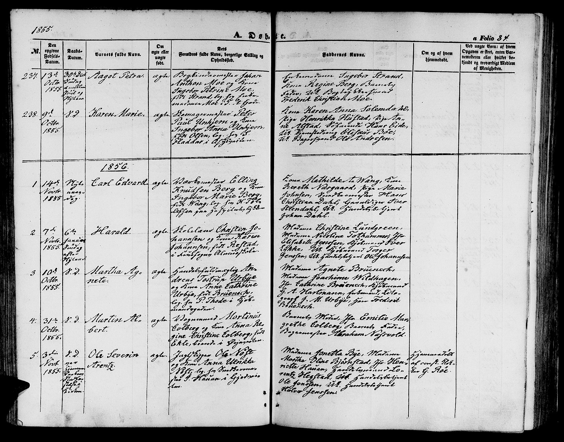 Ministerialprotokoller, klokkerbøker og fødselsregistre - Sør-Trøndelag, SAT/A-1456/602/L0138: Parish register (copy) no. 602C06, 1853-1858, p. 84