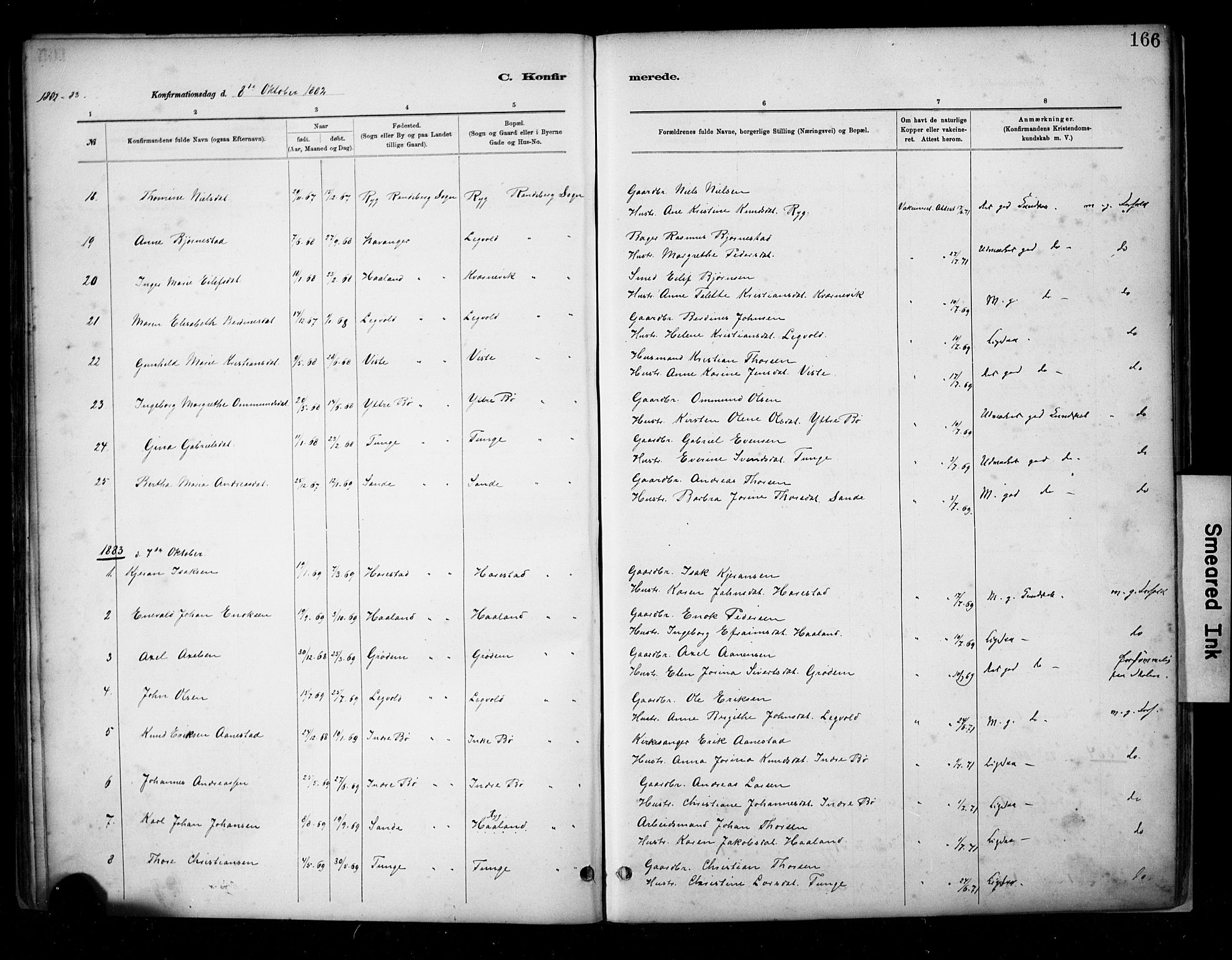 Hetland sokneprestkontor, SAST/A-101826/30/30BA/L0009: Parish register (official) no. A 9, 1882-1918, p. 166
