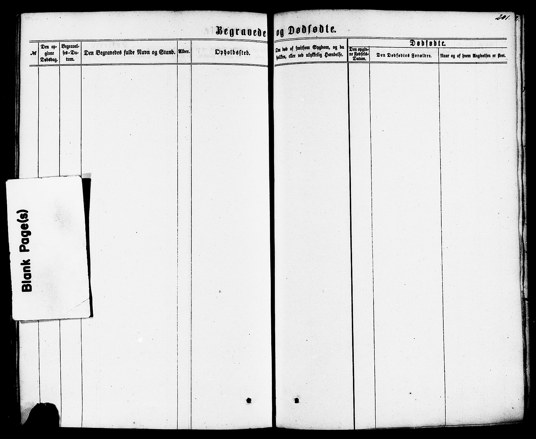 Nedstrand sokneprestkontor, SAST/A-101841/01/IV: Parish register (official) no. A 10, 1861-1887, p. 201