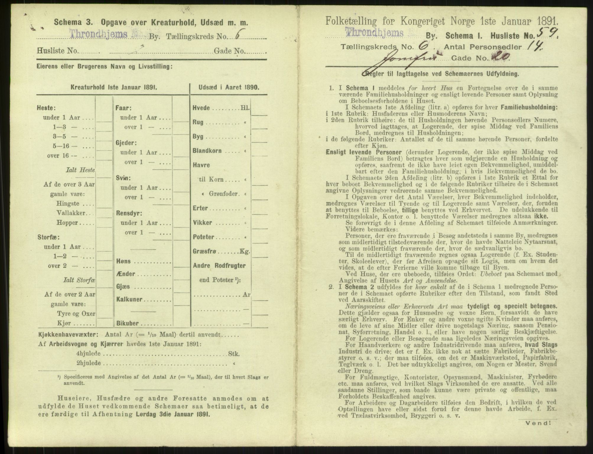 RA, 1891 census for 1601 Trondheim, 1891, p. 732