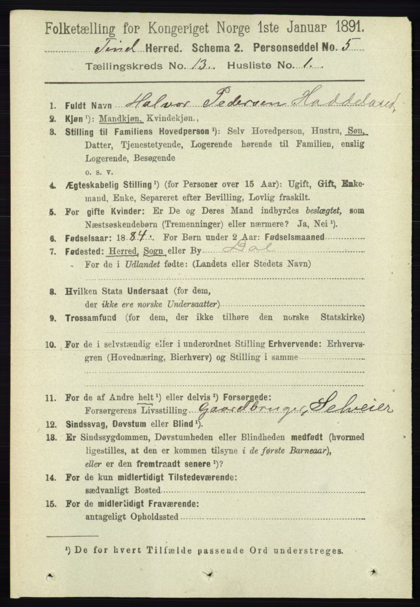 RA, 1891 census for 0826 Tinn, 1891, p. 2664