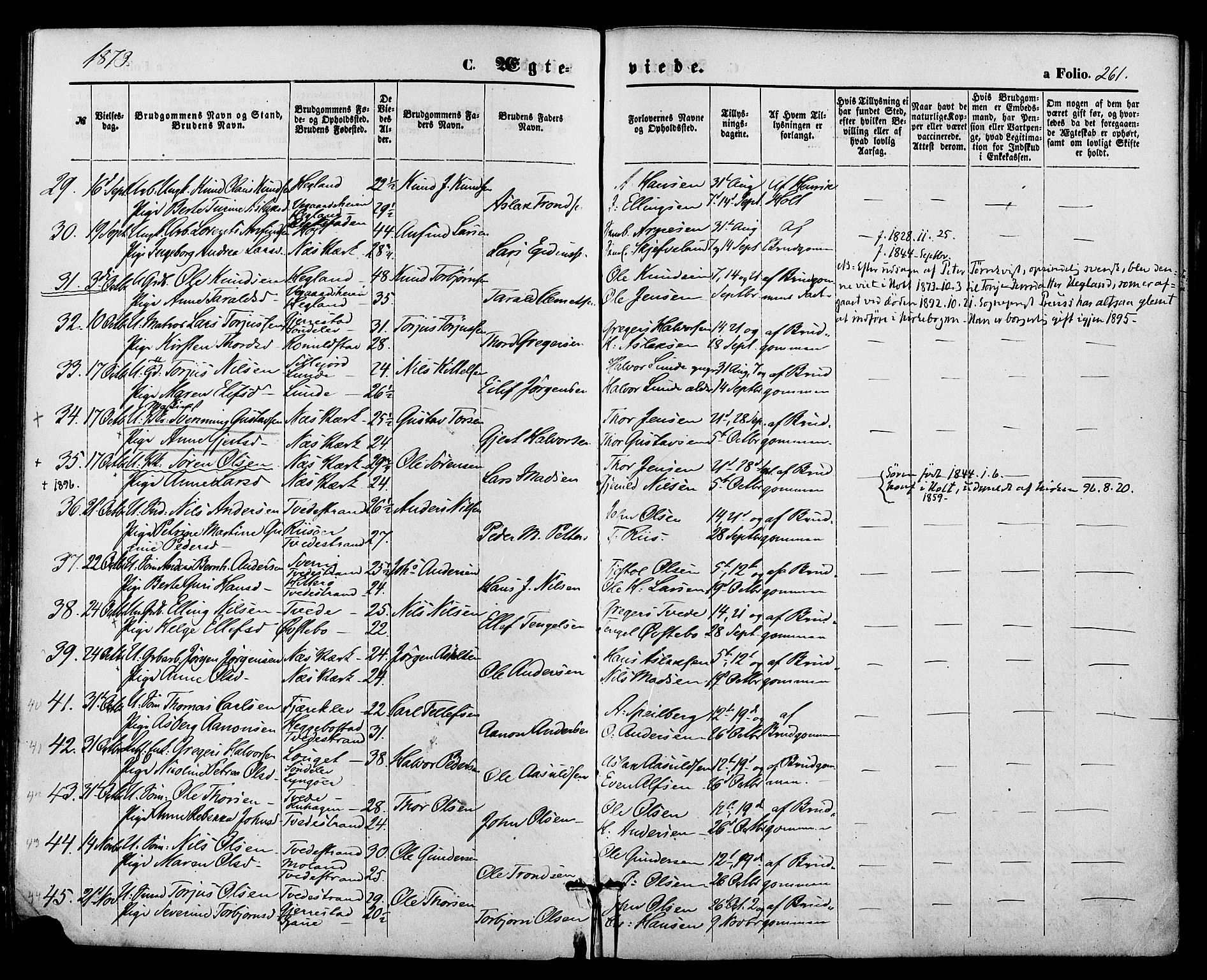 Holt sokneprestkontor, AV/SAK-1111-0021/F/Fa/L0010: Parish register (official) no. A 10, 1872-1885, p. 261