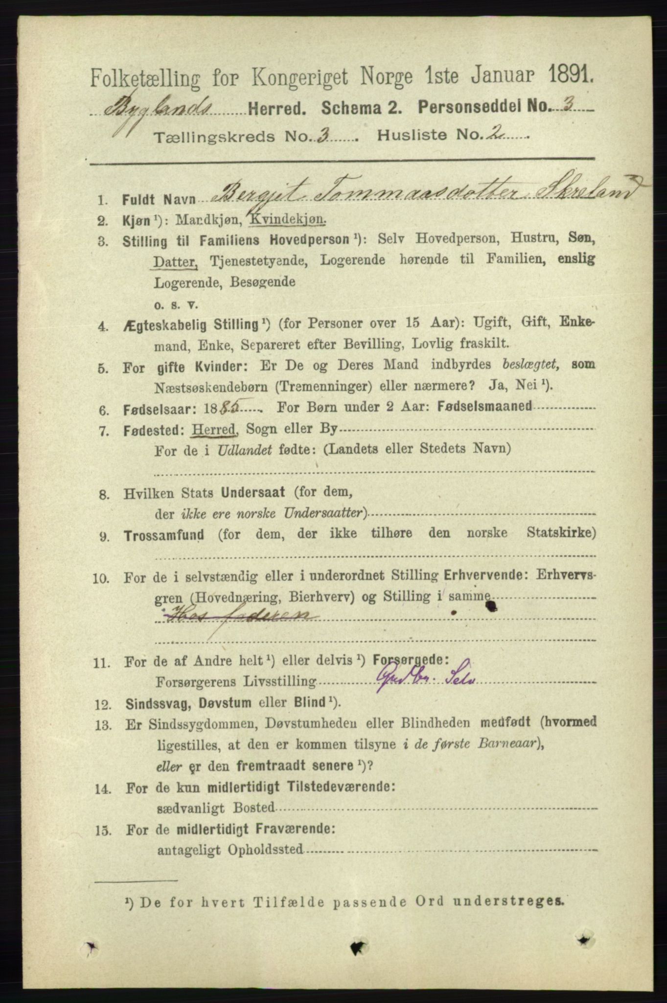 RA, 1891 census for 0938 Bygland, 1891, p. 575