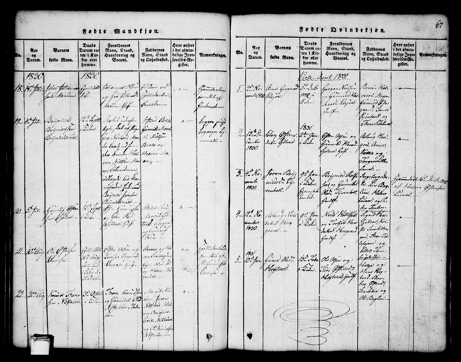 Tinn kirkebøker, SAKO/A-308/G/Ga/L0001: Parish register (copy) no. I 1, 1815-1850, p. 67