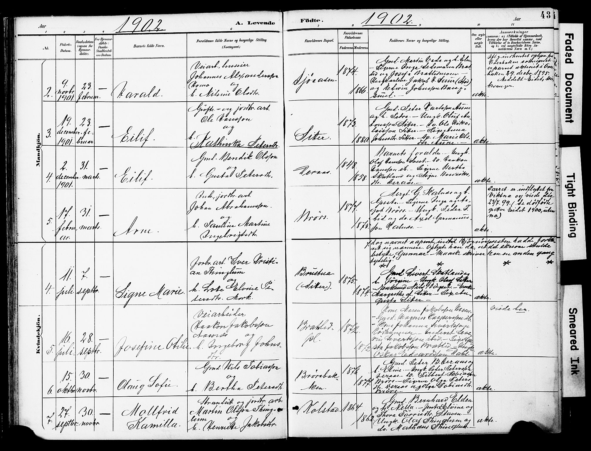 Ministerialprotokoller, klokkerbøker og fødselsregistre - Nord-Trøndelag, SAT/A-1458/742/L0409: Parish register (official) no. 742A02, 1891-1905, p. 43