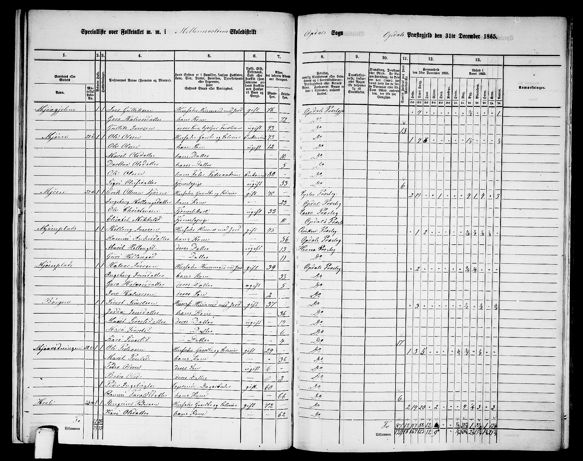 RA, 1865 census for Oppdal, 1865, p. 19