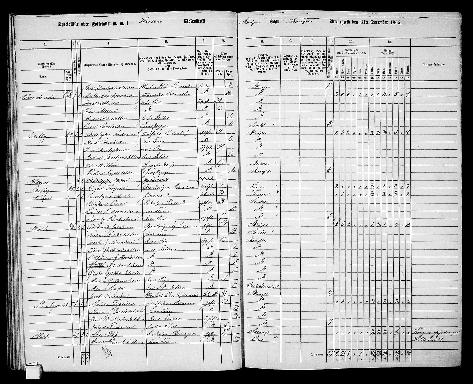 RA, 1865 census for Skoger, 1865, p. 76