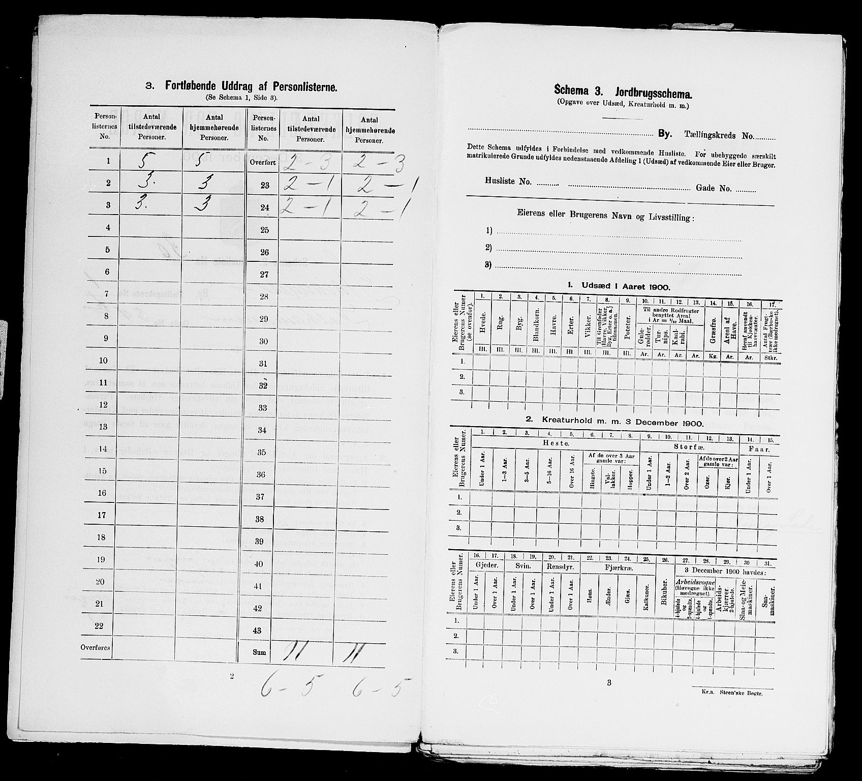 SAST, 1900 census for Stavanger, 1900, p. 17985