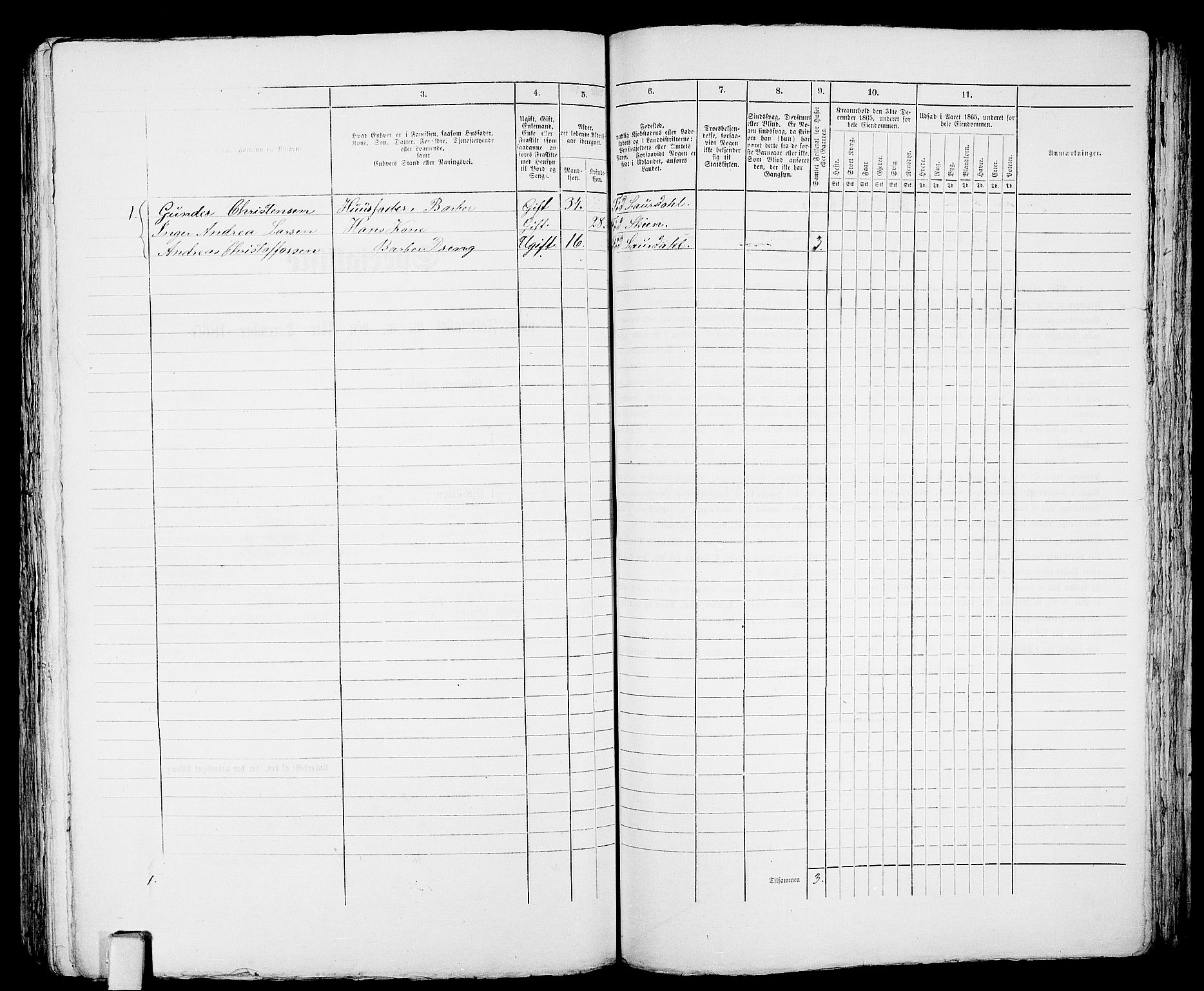 RA, 1865 census for Larvik, 1865, p. 545