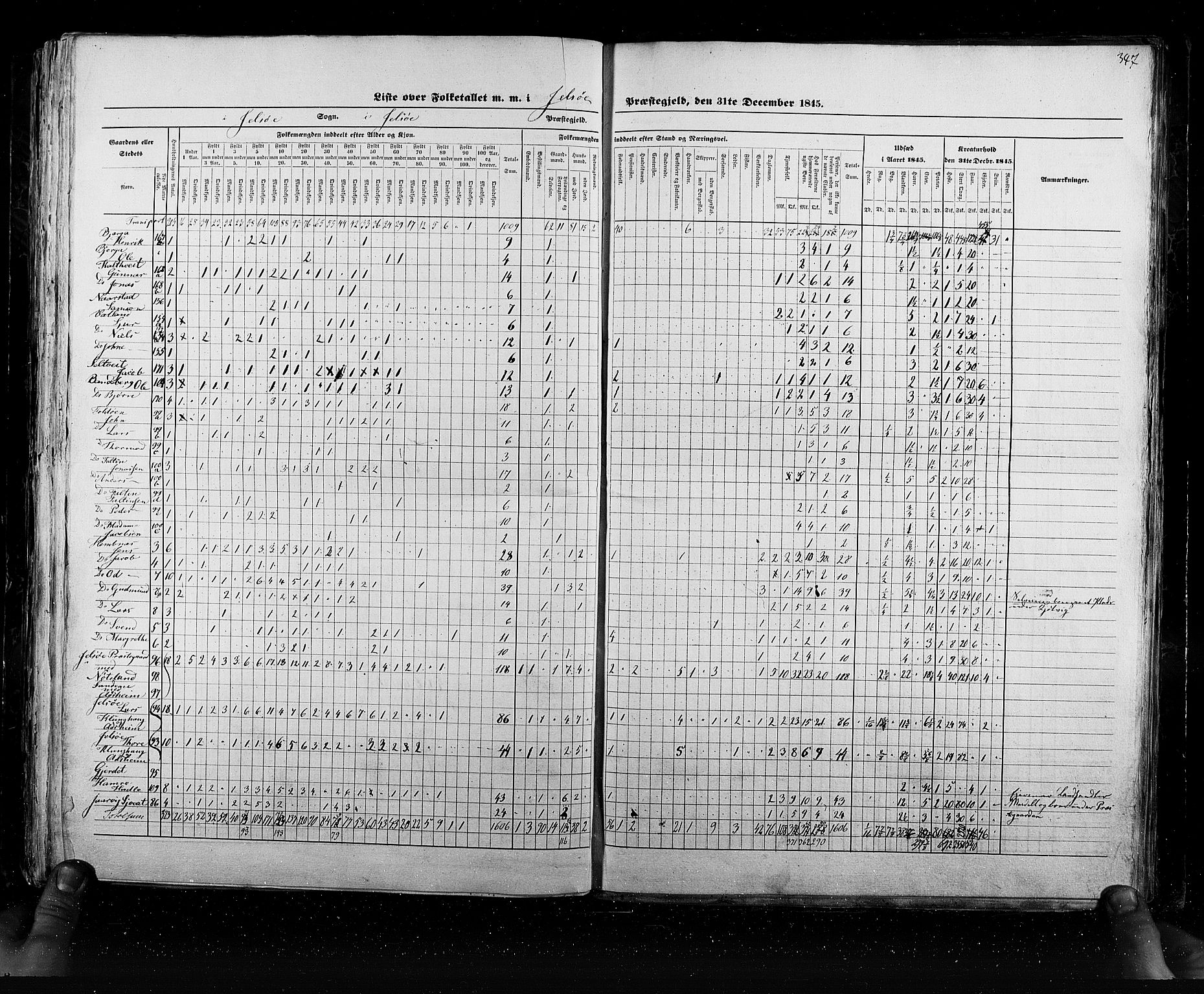 RA, Census 1845, vol. 6: Lister og Mandal amt og Stavanger amt, 1845, p. 347