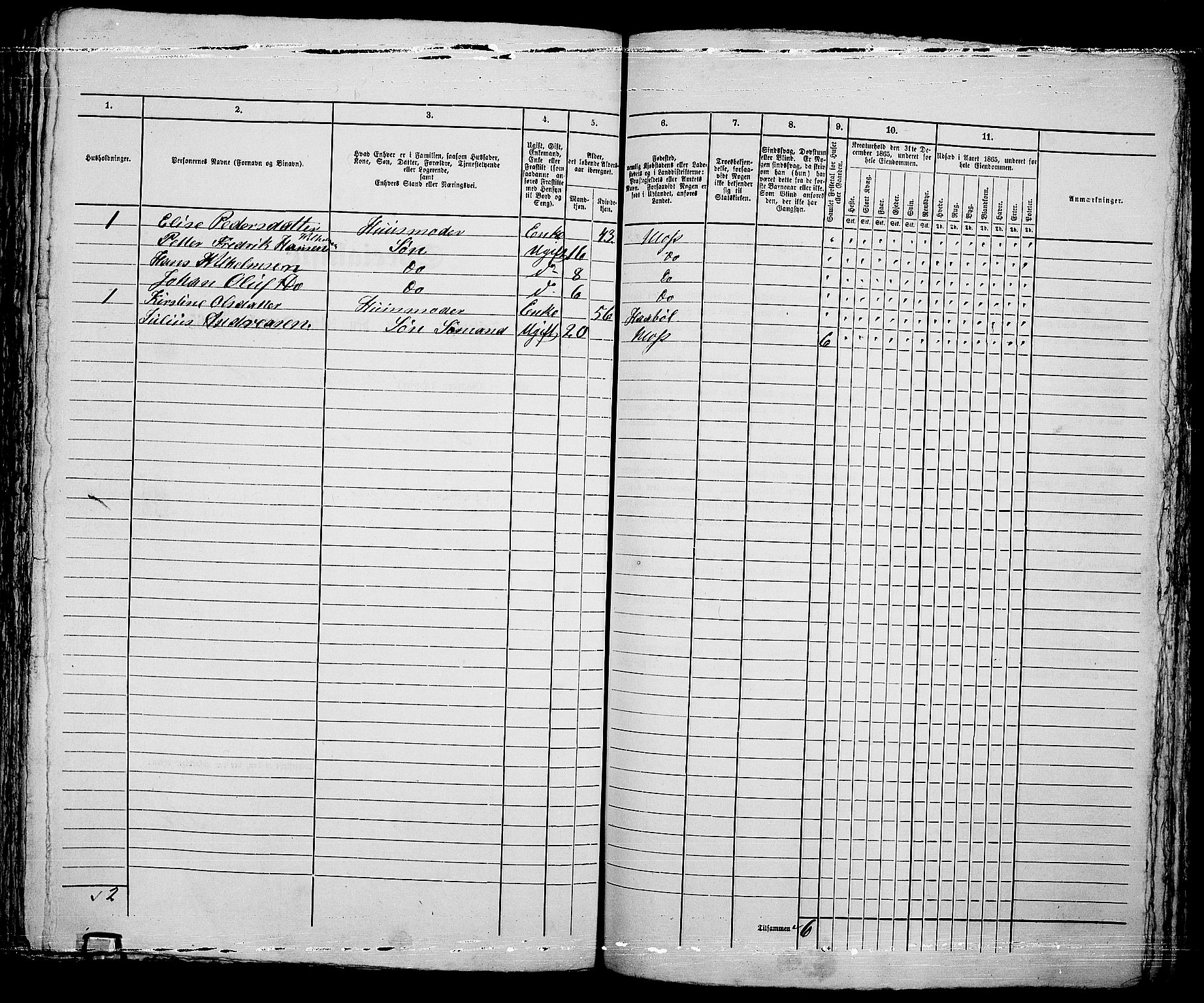 RA, 1865 census for Moss/Moss, 1865, p. 665