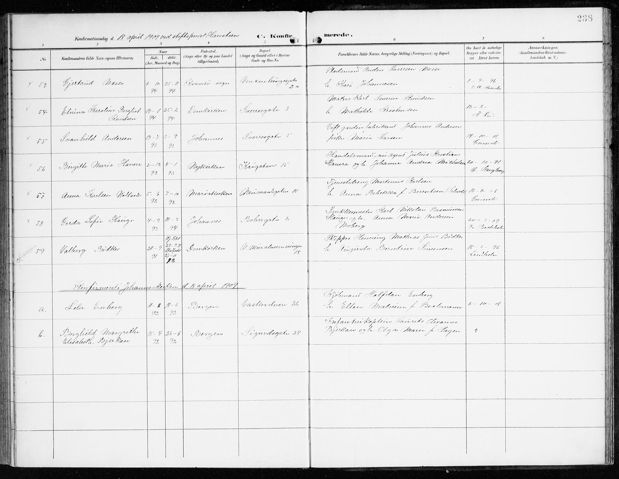 Domkirken sokneprestembete, AV/SAB-A-74801/H/Haa/L0031: Parish register (official) no. C 6, 1898-1915, p. 238