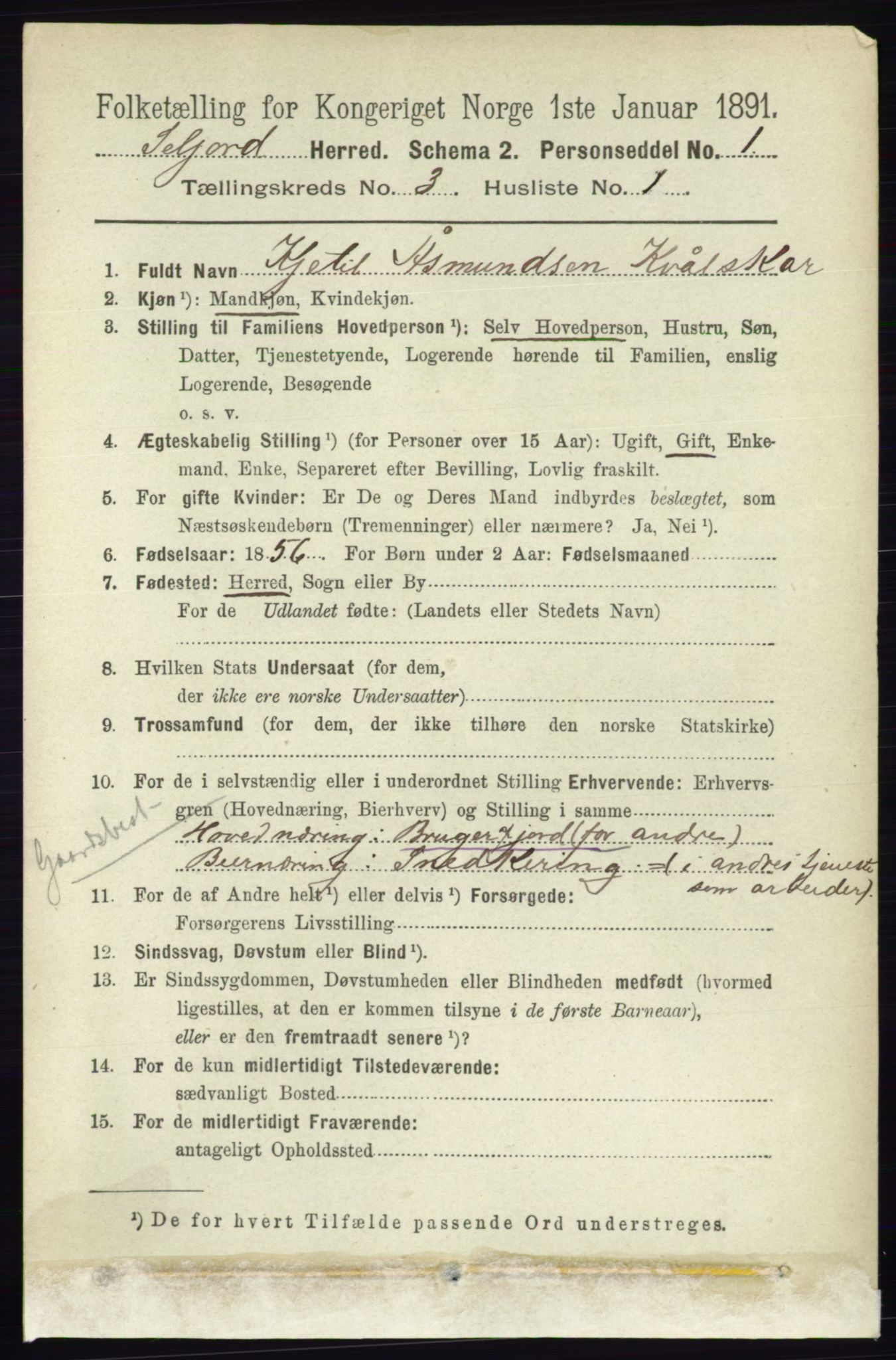 RA, 1891 census for 0828 Seljord, 1891, p. 982