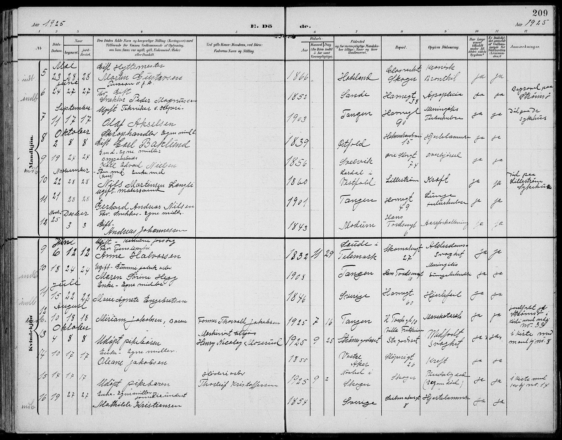 Strømsø kirkebøker, AV/SAKO-A-246/F/Fb/L0008: Parish register (official) no. II 8, 1902-1933, p. 209