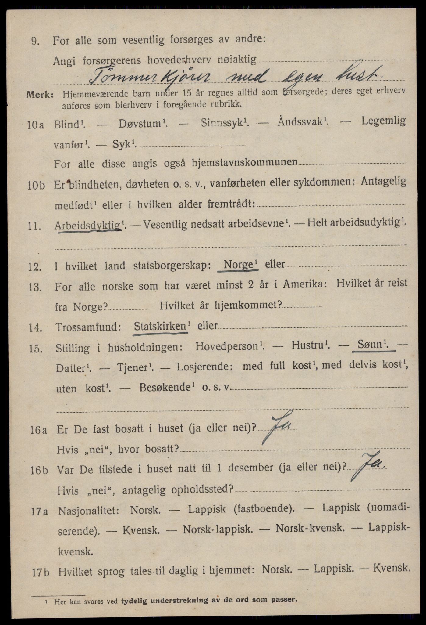 SAT, 1920 census for Selbu, 1920, p. 8877