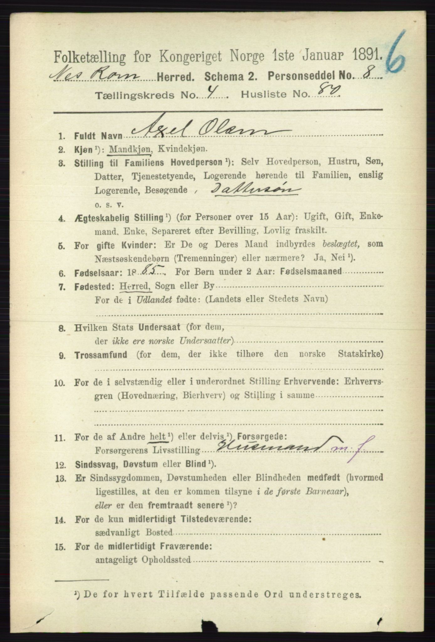 RA, 1891 census for 0236 Nes, 1891, p. 2696