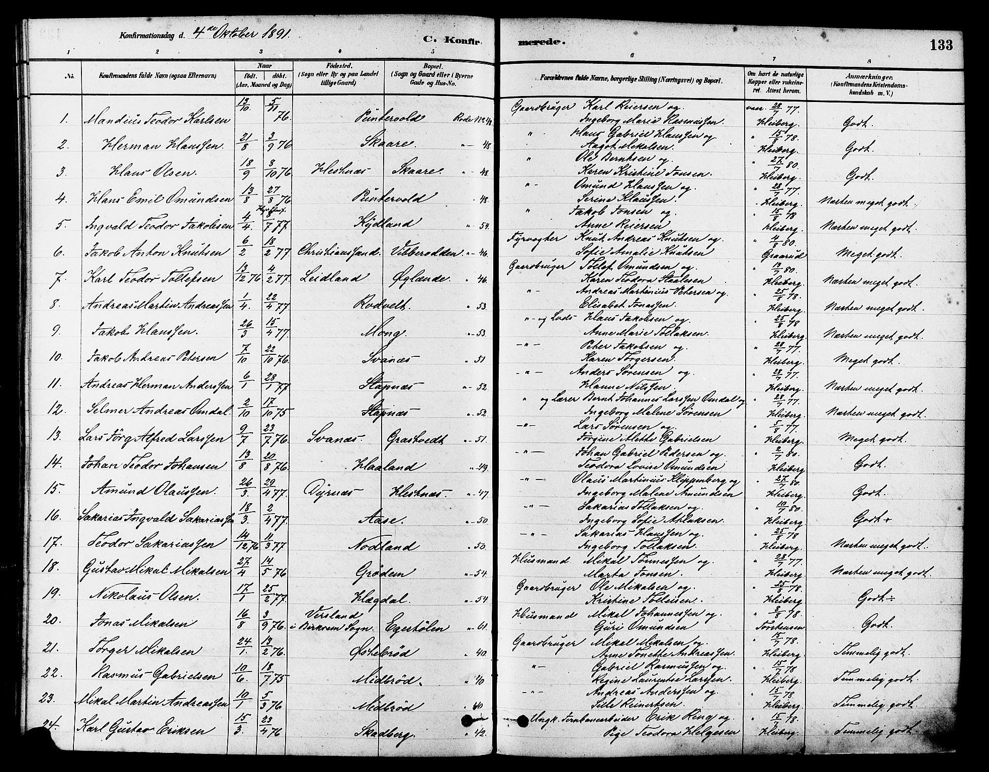 Eigersund sokneprestkontor, SAST/A-101807/S08/L0017: Parish register (official) no. A 14, 1879-1892, p. 133