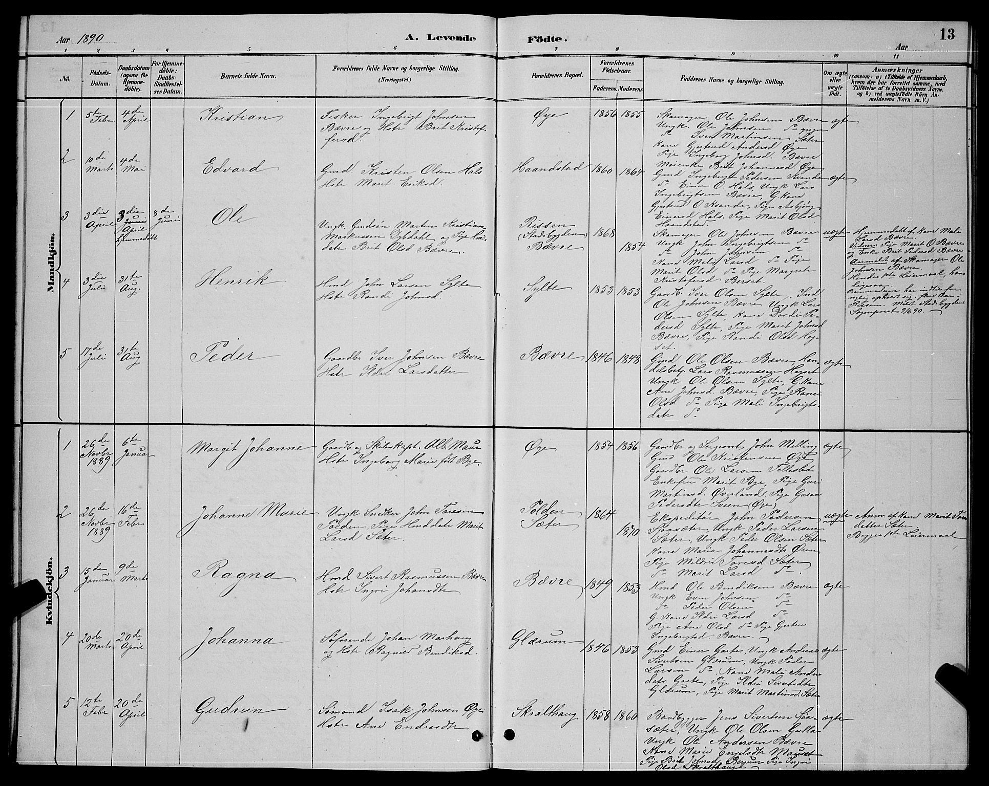 Ministerialprotokoller, klokkerbøker og fødselsregistre - Møre og Romsdal, AV/SAT-A-1454/595/L1052: Parish register (copy) no. 595C04, 1885-1900, p. 13