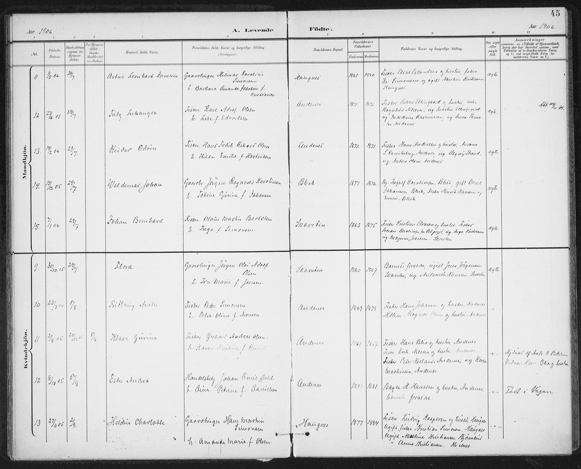 Ministerialprotokoller, klokkerbøker og fødselsregistre - Nordland, AV/SAT-A-1459/899/L1437: Parish register (official) no. 899A05, 1897-1908, p. 45