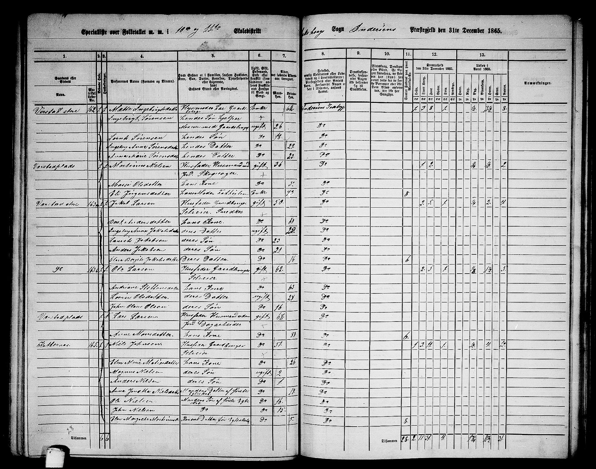 RA, 1865 census for Inderøy, 1865, p. 133