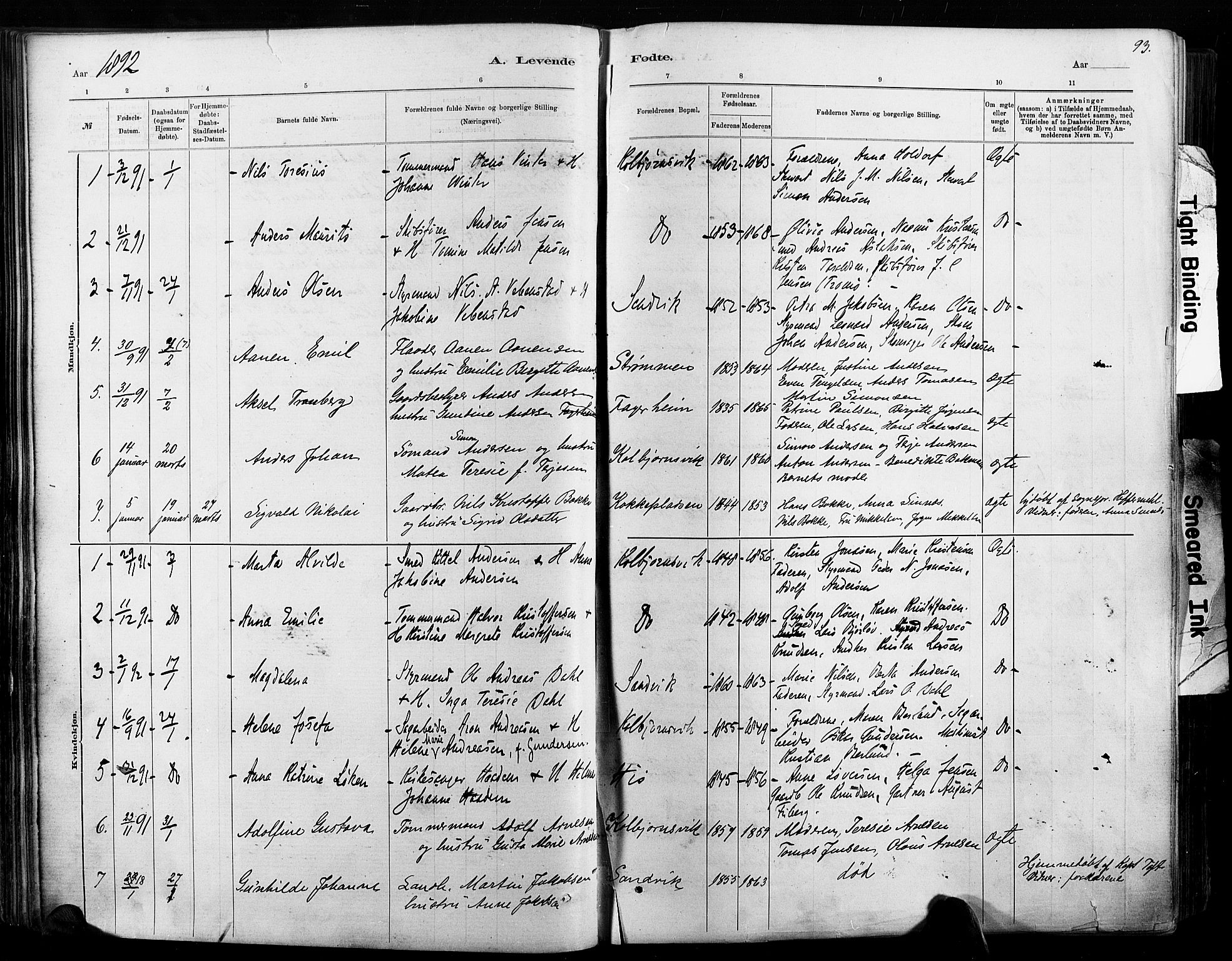 Hisøy sokneprestkontor, AV/SAK-1111-0020/F/Fa/L0003: Parish register (official) no. A 3, 1881-1894, p. 93