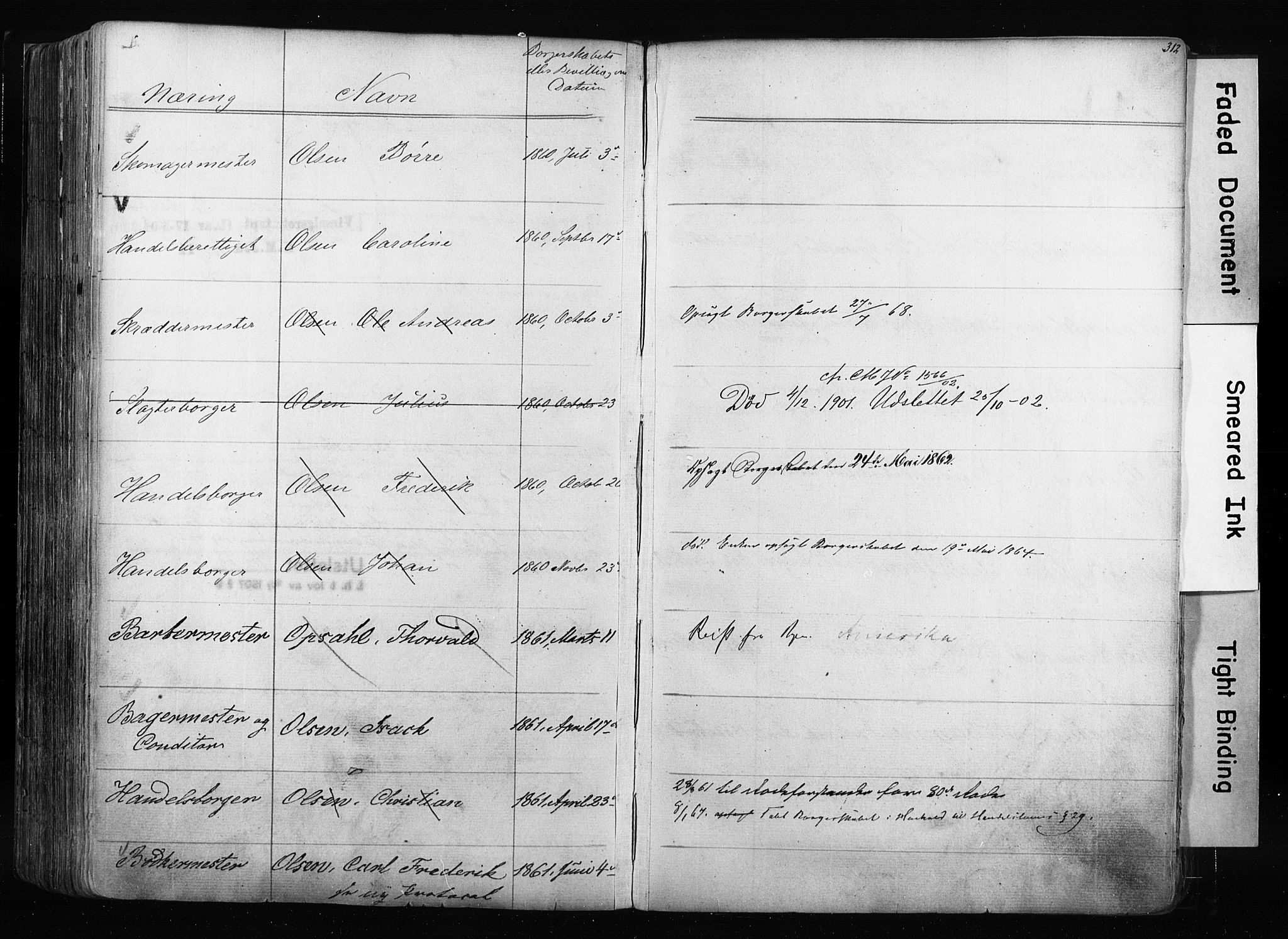 Kristiania magistrat, SAO/A-10711/F/Fb/L0003: Borgerrulle, 1842-1860, p. 315