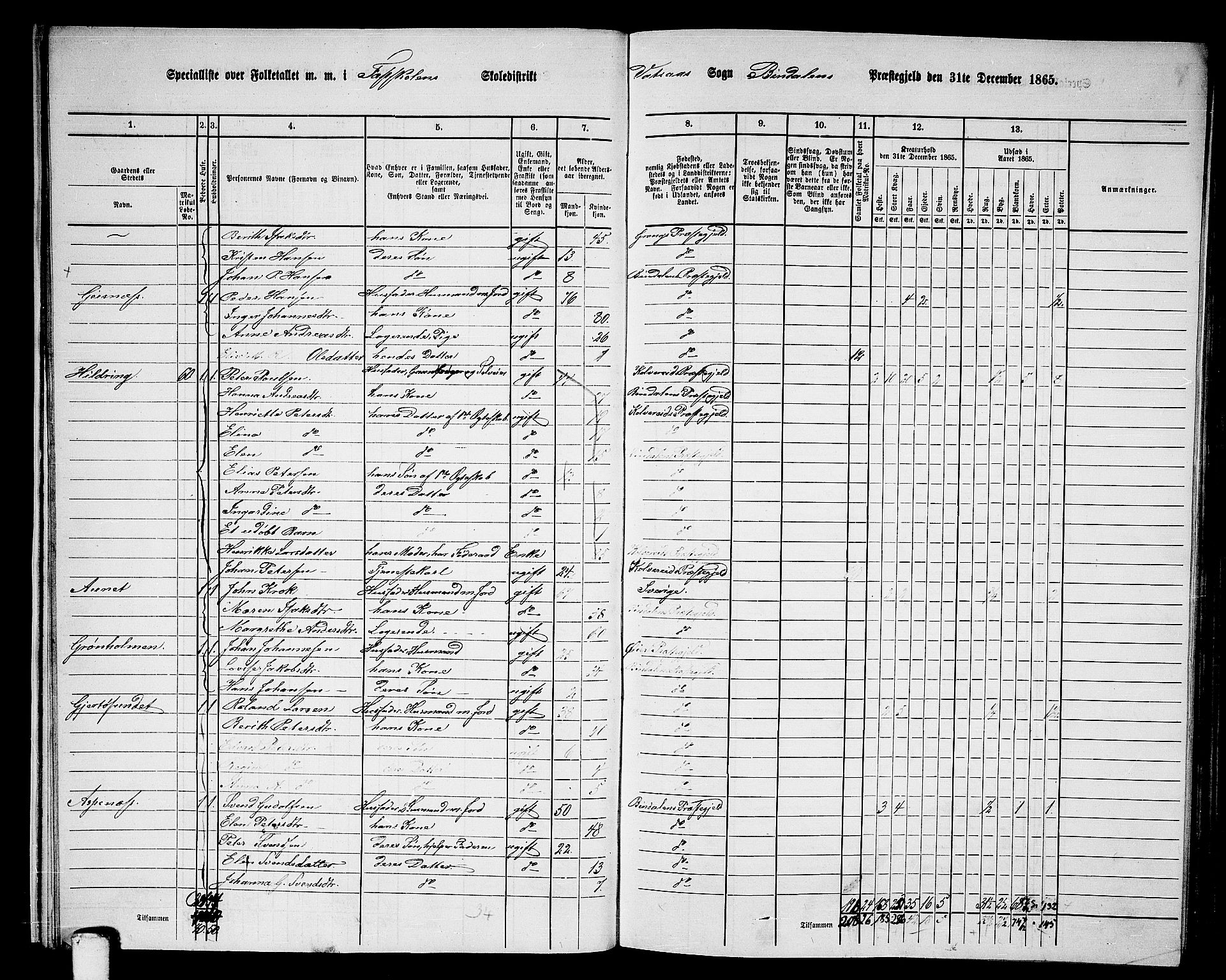 RA, 1865 census for Bindal, 1865, p. 16