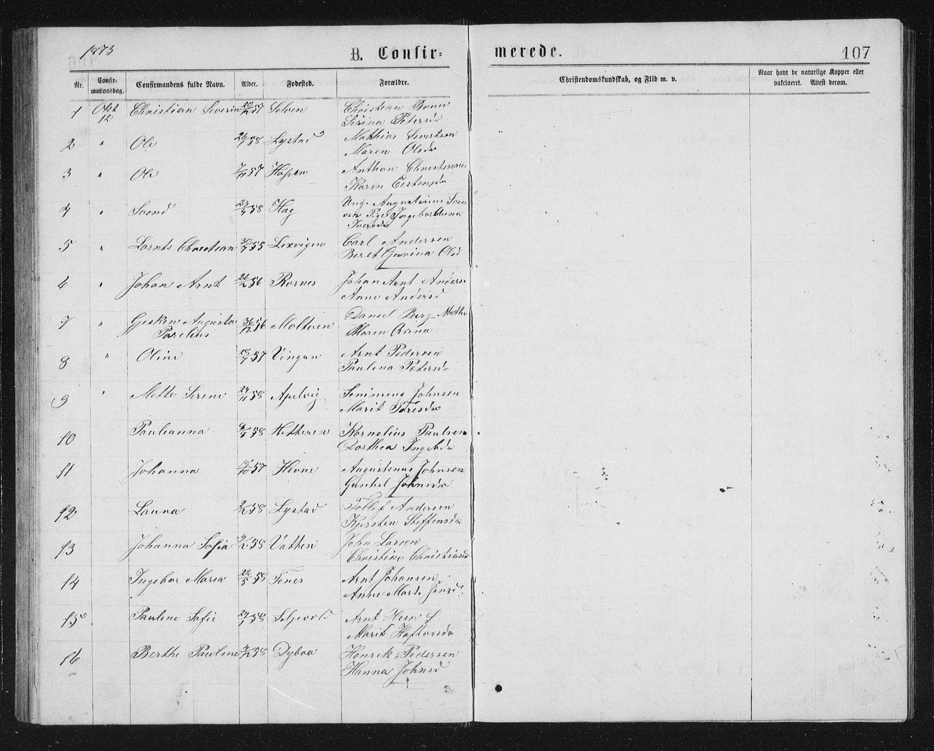 Ministerialprotokoller, klokkerbøker og fødselsregistre - Sør-Trøndelag, SAT/A-1456/662/L0756: Parish register (copy) no. 662C01, 1869-1891, p. 107