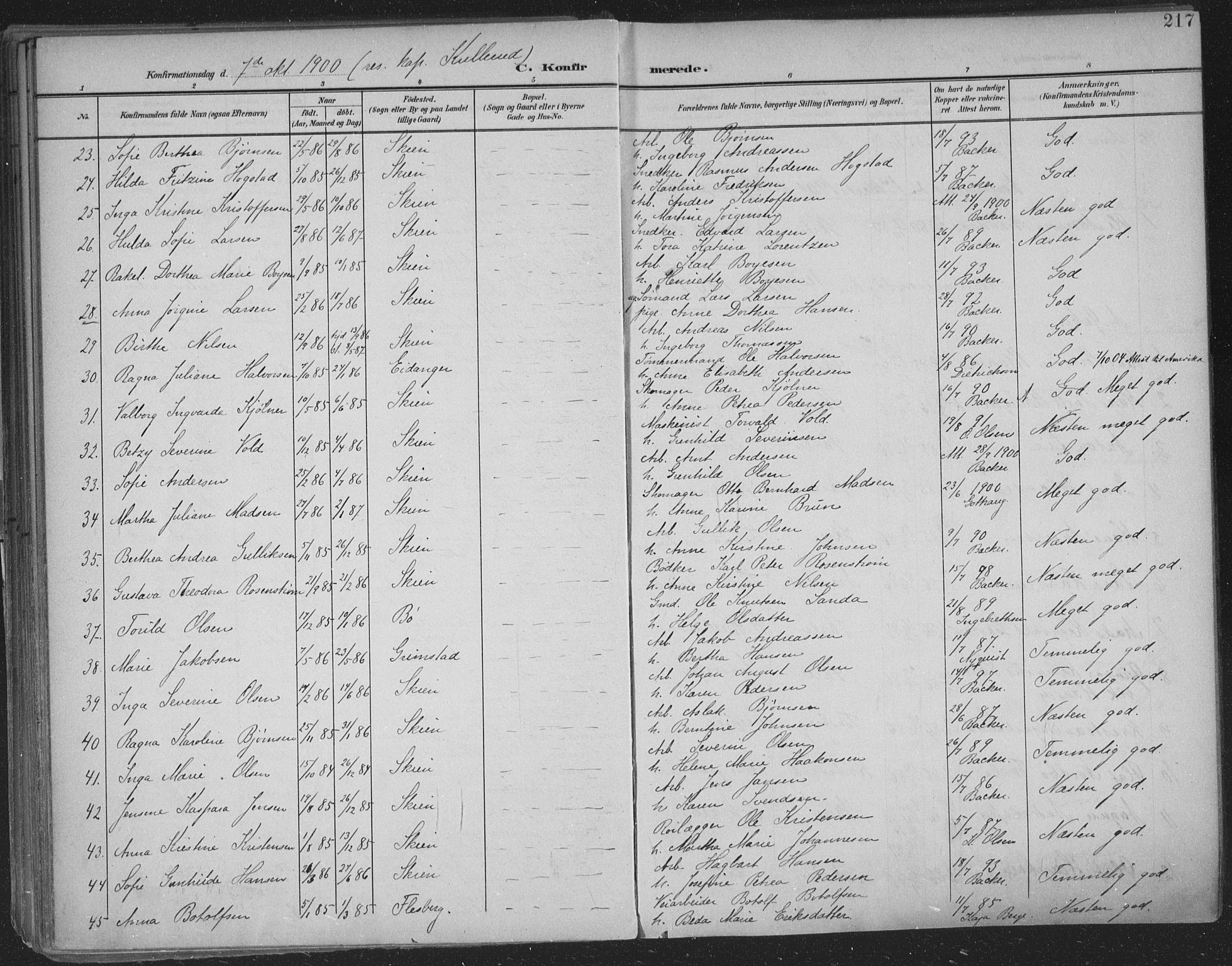 Skien kirkebøker, SAKO/A-302/F/Fa/L0011: Parish register (official) no. 11, 1900-1907, p. 217
