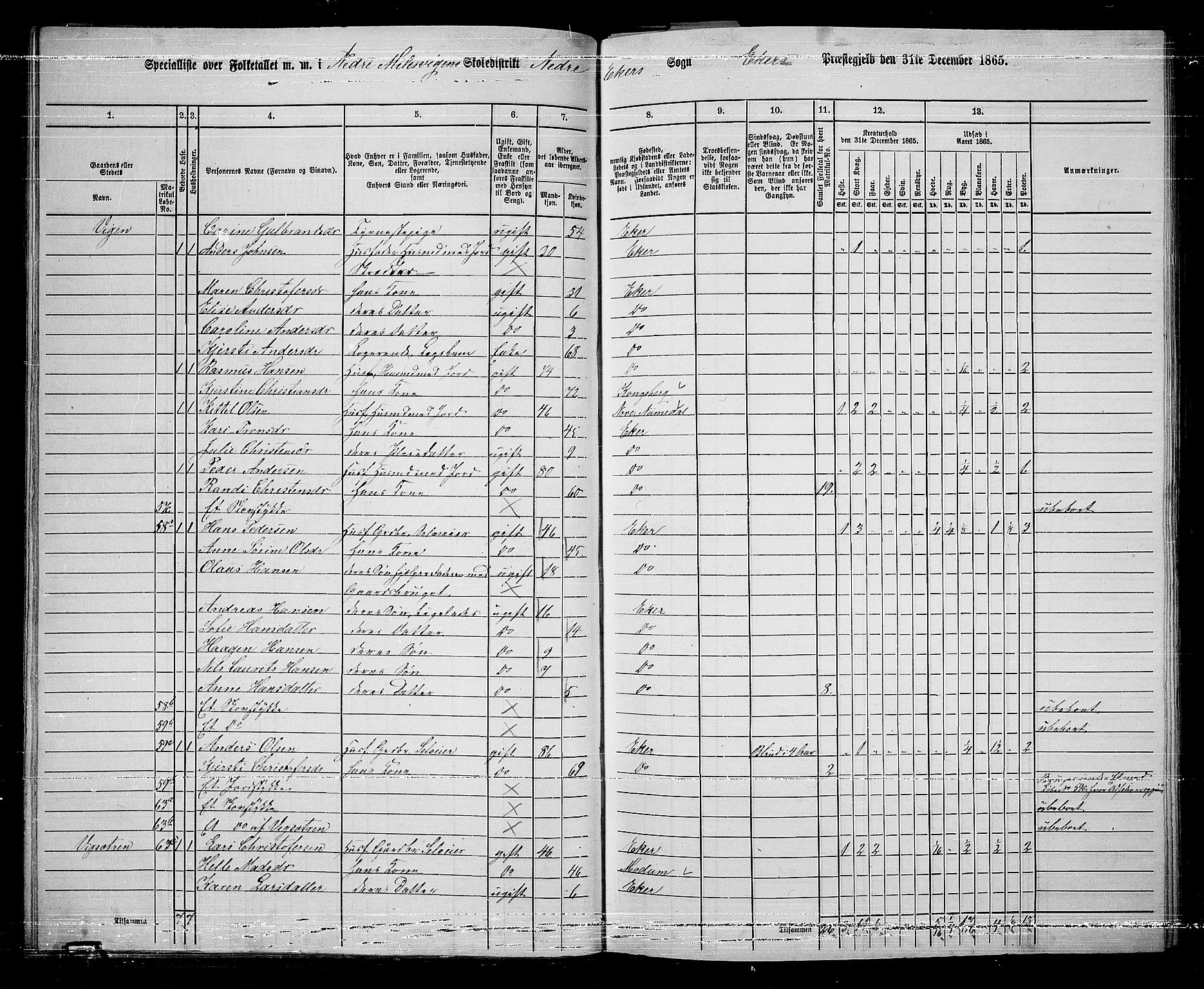 RA, 1865 census for Eiker, 1865, p. 300