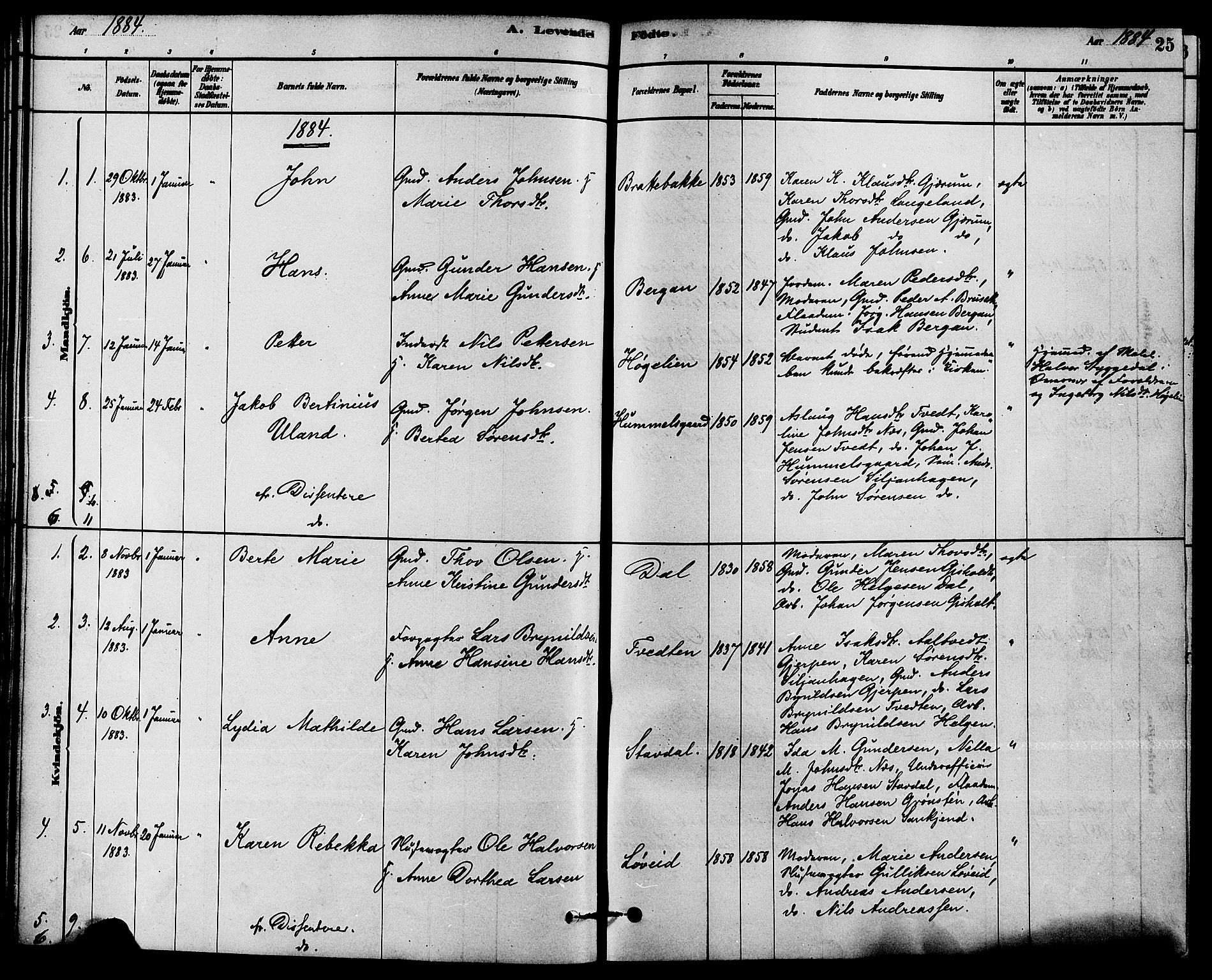 Solum kirkebøker, AV/SAKO-A-306/F/Fb/L0001: Parish register (official) no. II 1, 1877-1892, p. 25