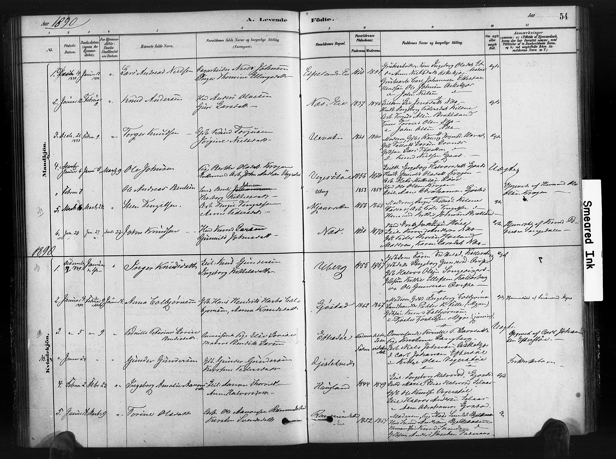 Gjerstad sokneprestkontor, AV/SAK-1111-0014/F/Fa/Fab/L0004: Parish register (official) no. A 4, 1879-1890, p. 54