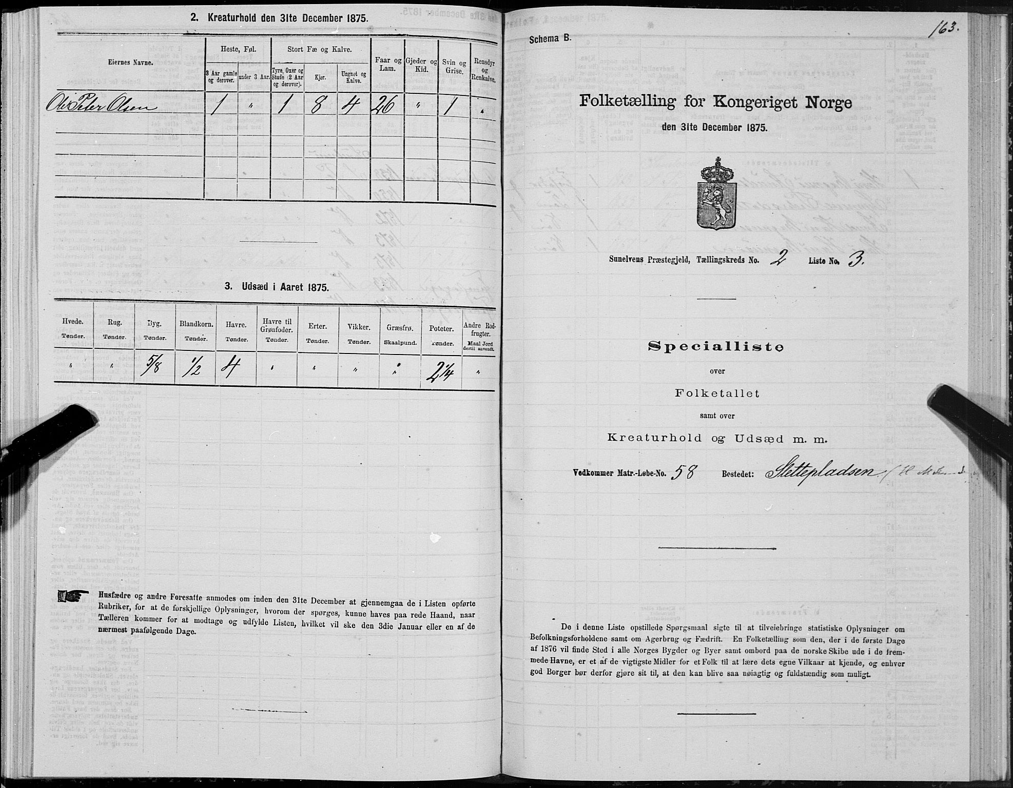 SAT, 1875 census for 1523P Sunnylven, 1875, p. 1163