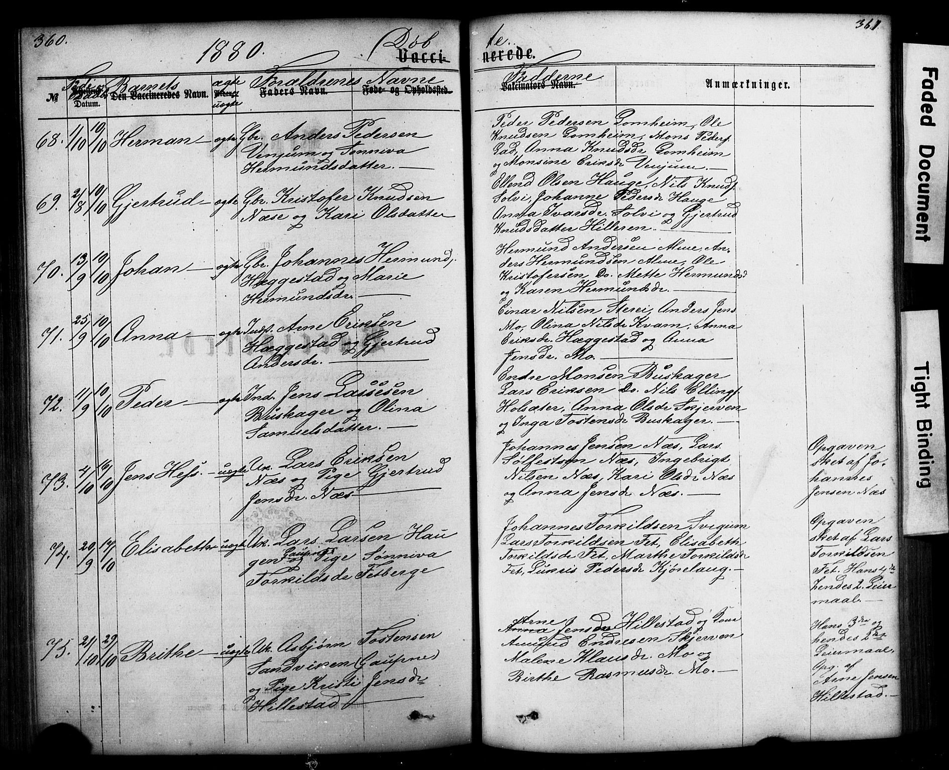 Hafslo sokneprestembete, SAB/A-80301/H/Hab/Haba/L0001: Parish register (copy) no. A 1, 1866-1908, p. 361