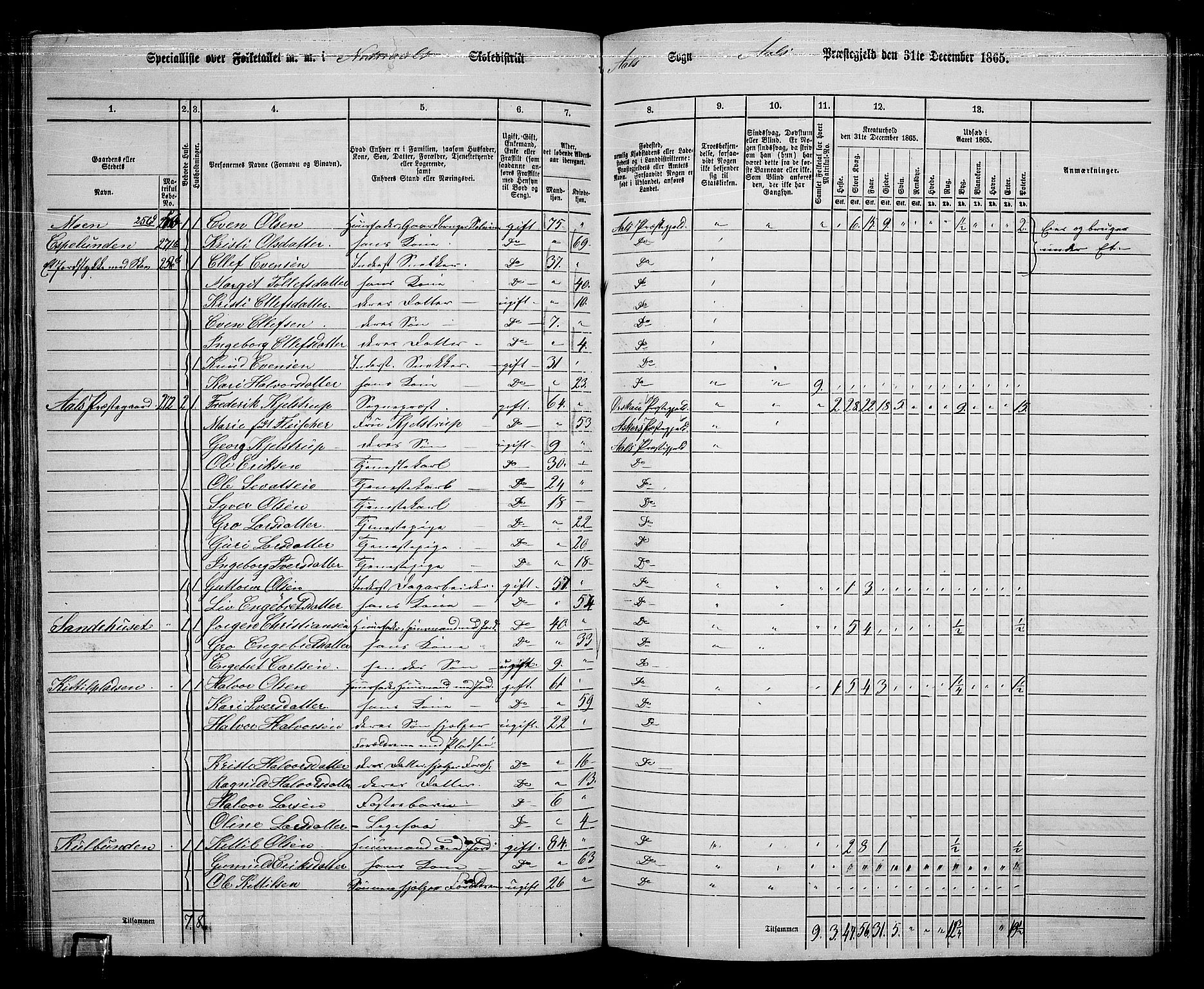 RA, 1865 census for Ål, 1865, p. 146