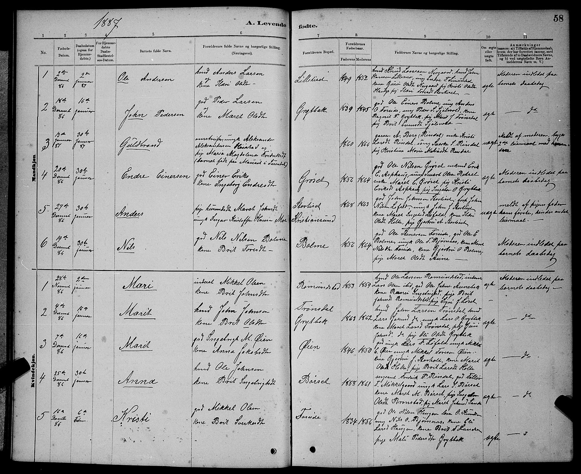 Ministerialprotokoller, klokkerbøker og fødselsregistre - Møre og Romsdal, AV/SAT-A-1454/598/L1077: Parish register (copy) no. 598C02, 1879-1891, p. 58