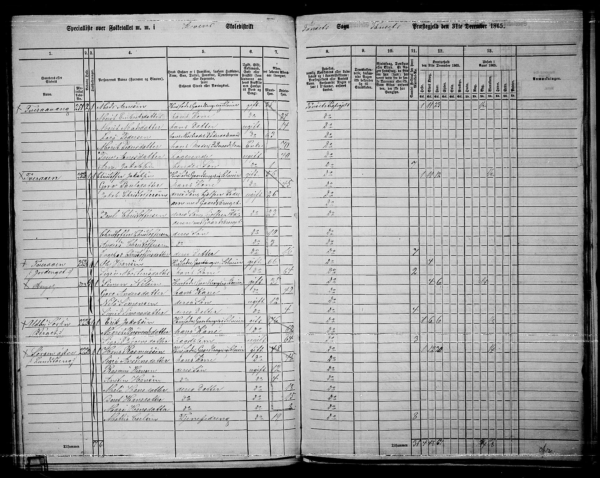 RA, 1865 census for Tynset, 1865, p. 104