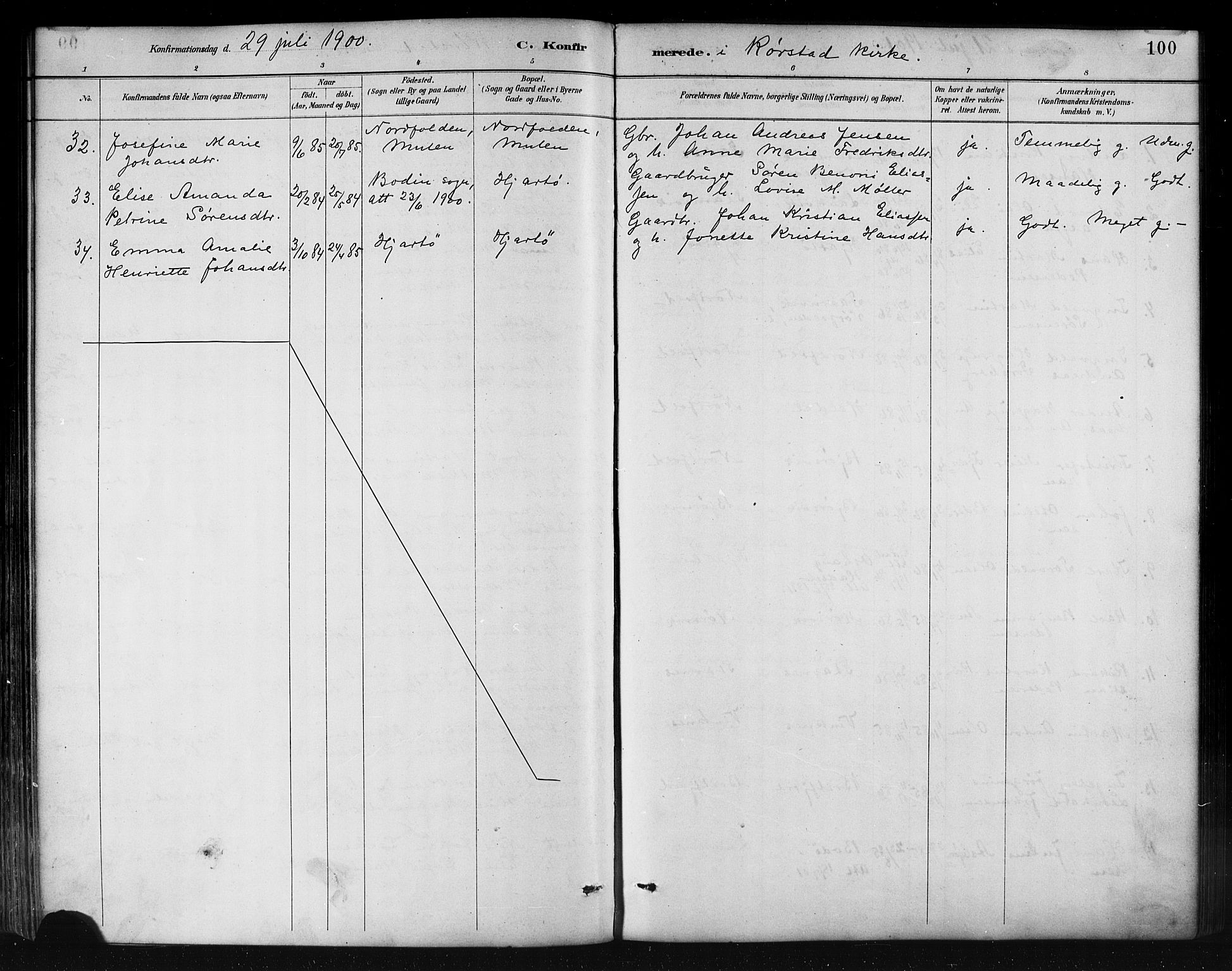 Ministerialprotokoller, klokkerbøker og fødselsregistre - Nordland, AV/SAT-A-1459/858/L0831: Parish register (official) no. 858A01, 1884-1902, p. 100