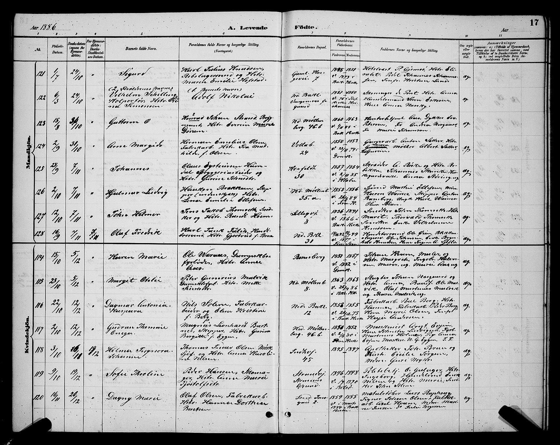 Ministerialprotokoller, klokkerbøker og fødselsregistre - Sør-Trøndelag, SAT/A-1456/604/L0222: Parish register (copy) no. 604C05, 1886-1895, p. 17