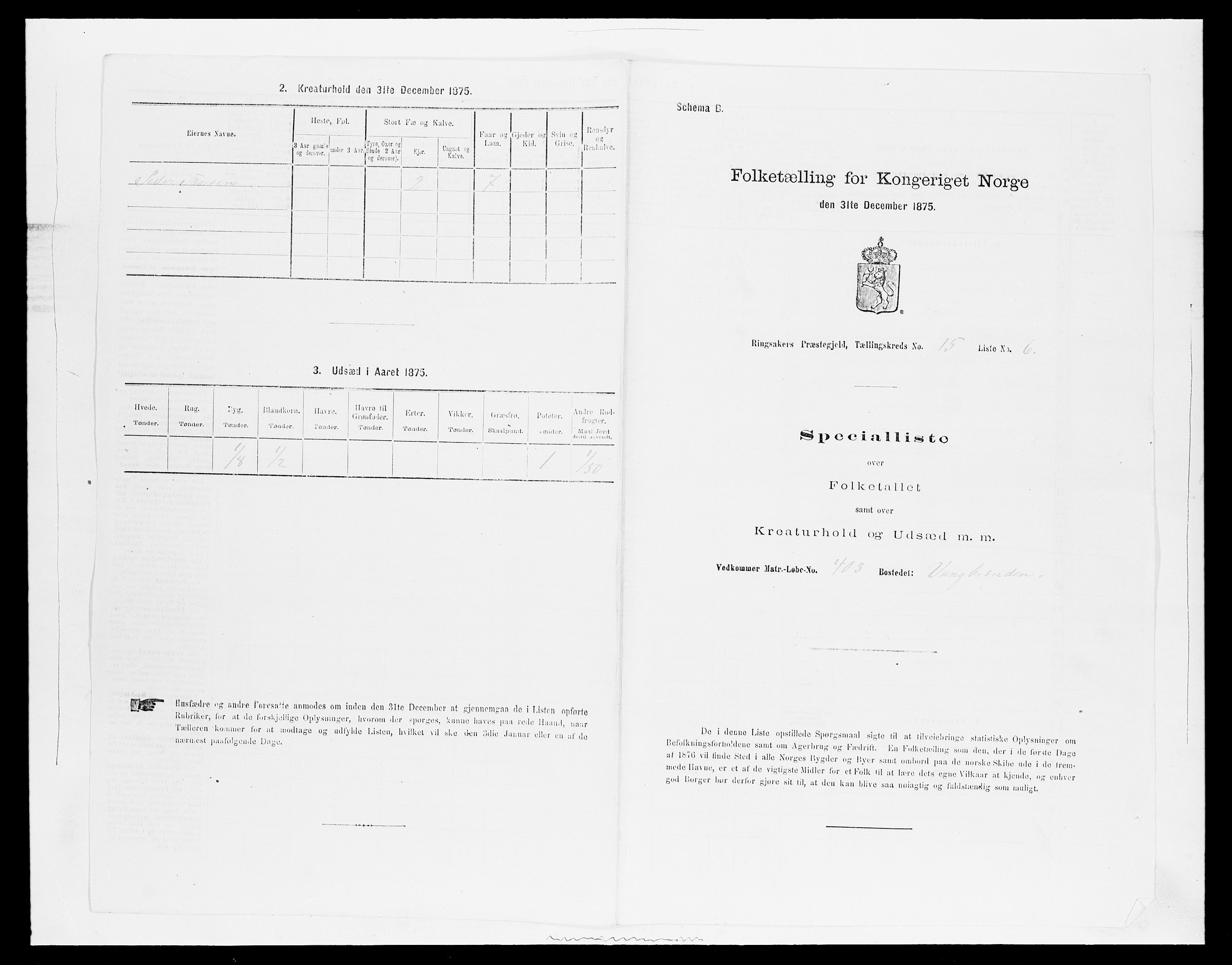 SAH, 1875 census for 0412P Ringsaker, 1875, p. 3042